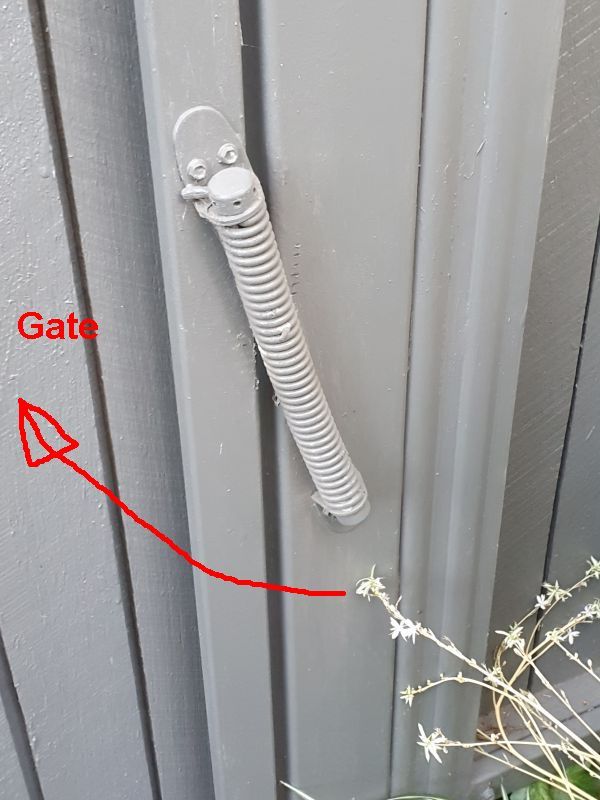 Garden gate not closing with gate spring Bunnings community