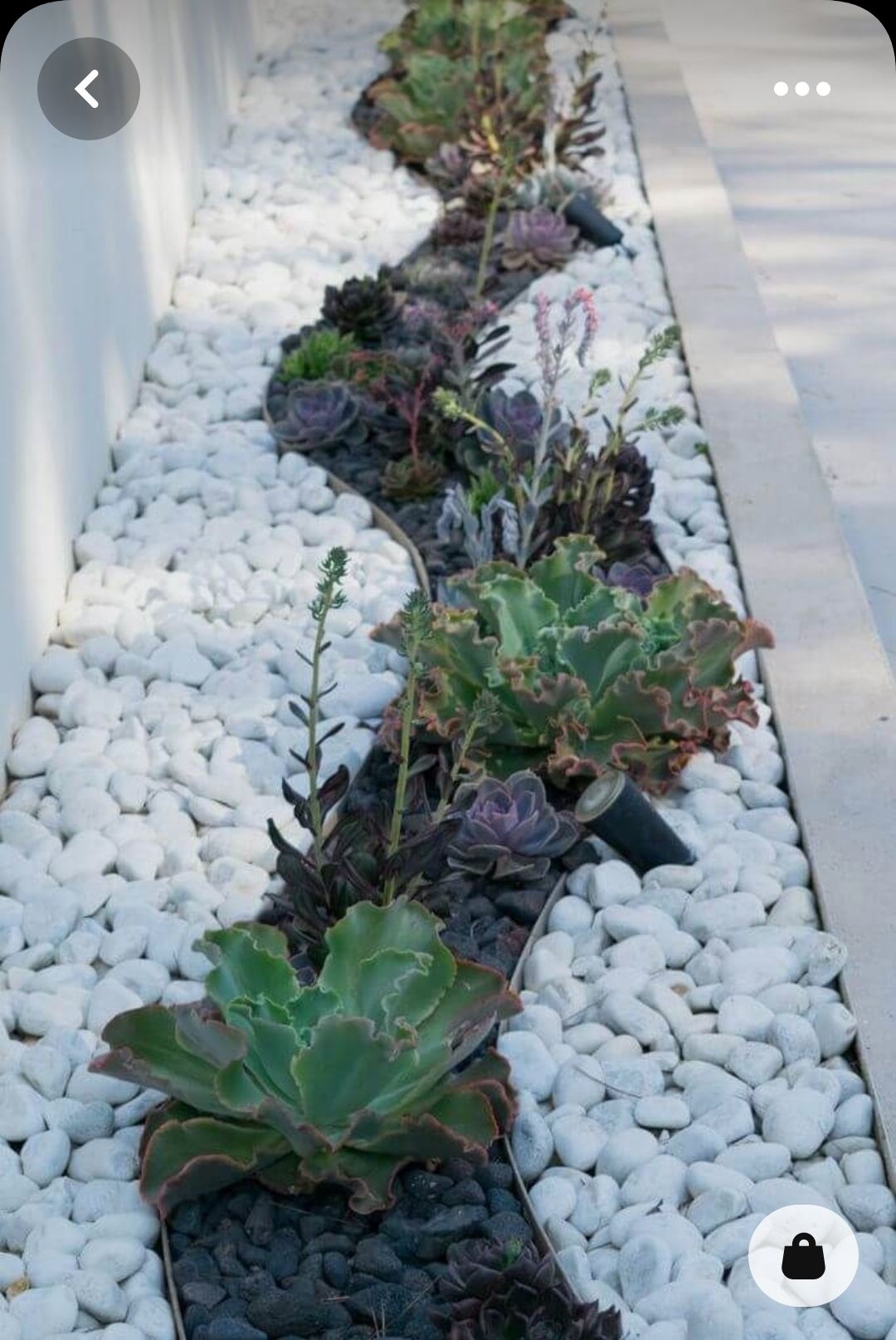 How to build a garden bed edge? Bunnings community
