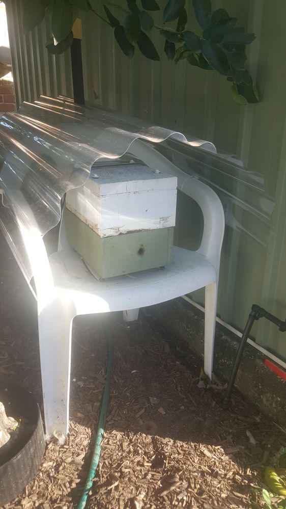 2018-04-27 08.24.16.jpg