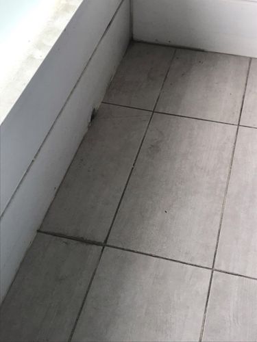 thumbnail_Image (1).jpg