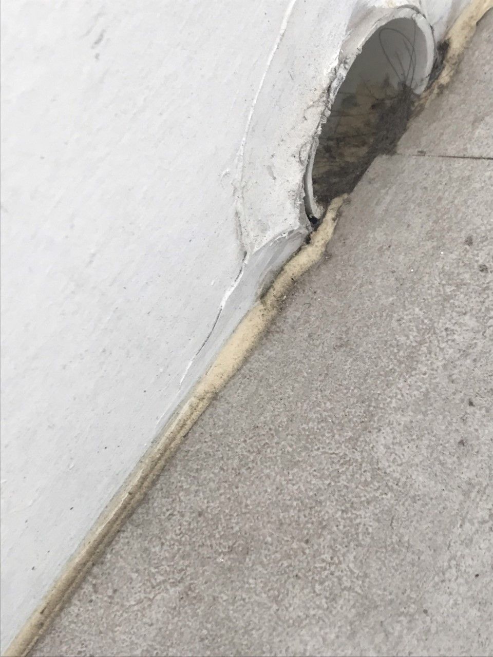 How to waterproof a balcony wall? Bunnings community