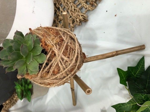Kokedama ball on bamboo stand