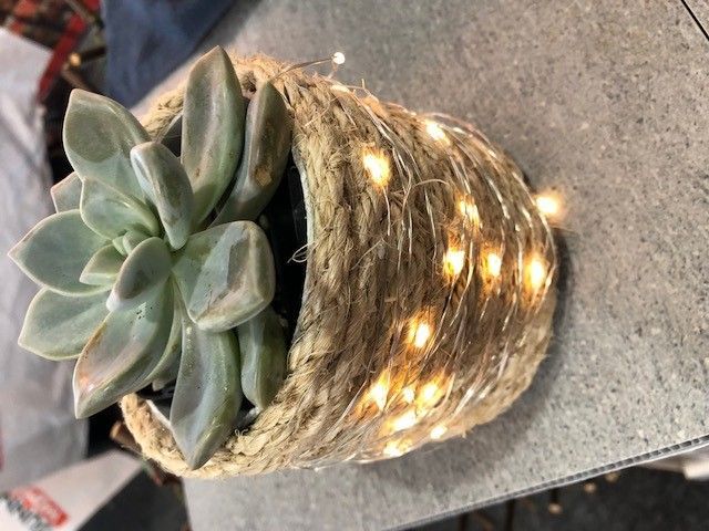 PVC pipe planter wrapped in rope