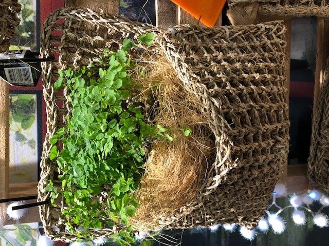 Seagrass mat planter