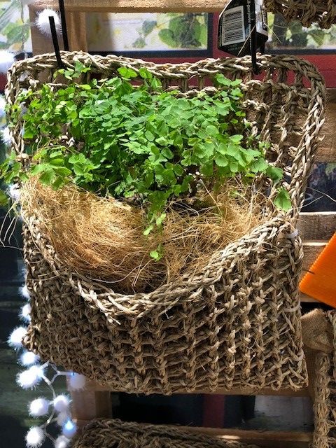 Seagrass mat planter