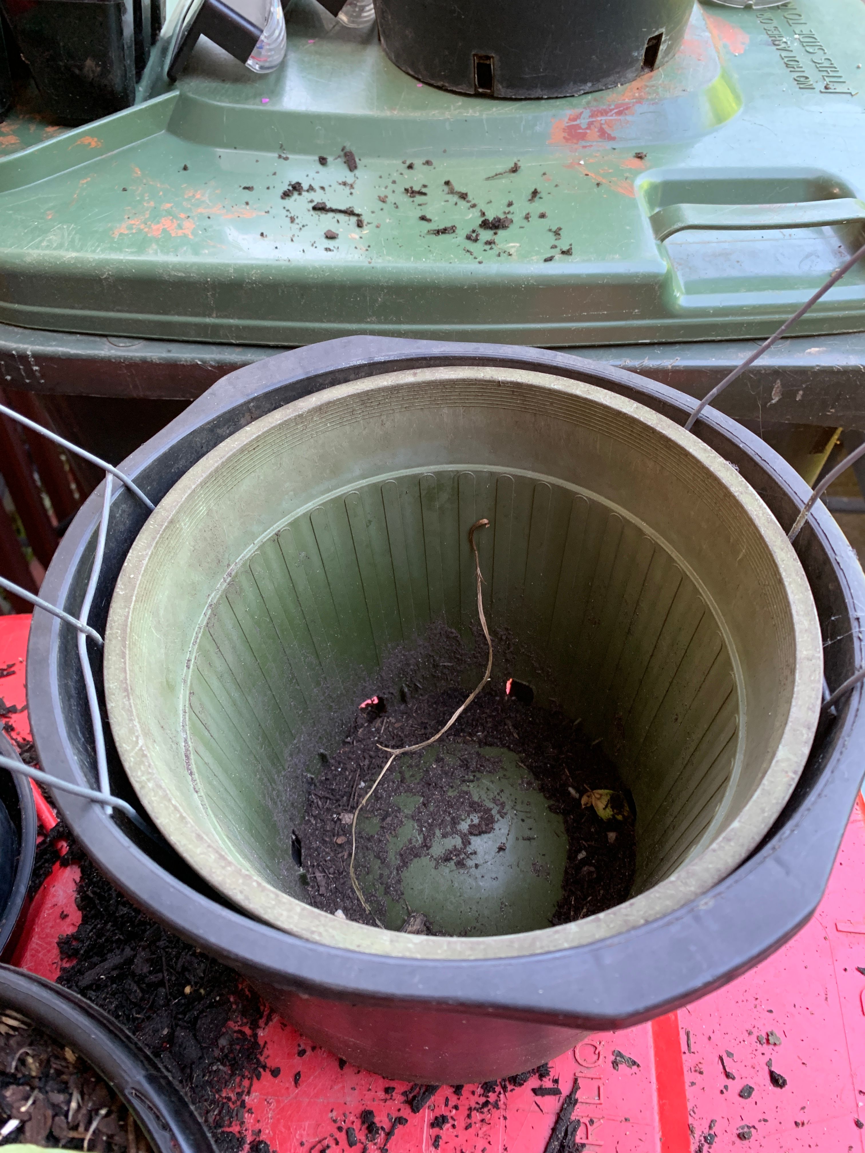 Homemade plant trainer Bunnings community