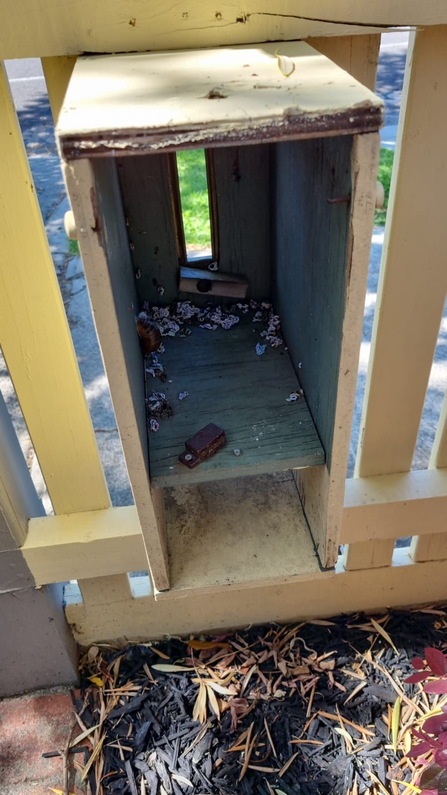 How to secure a timber mailbox? Bunnings community