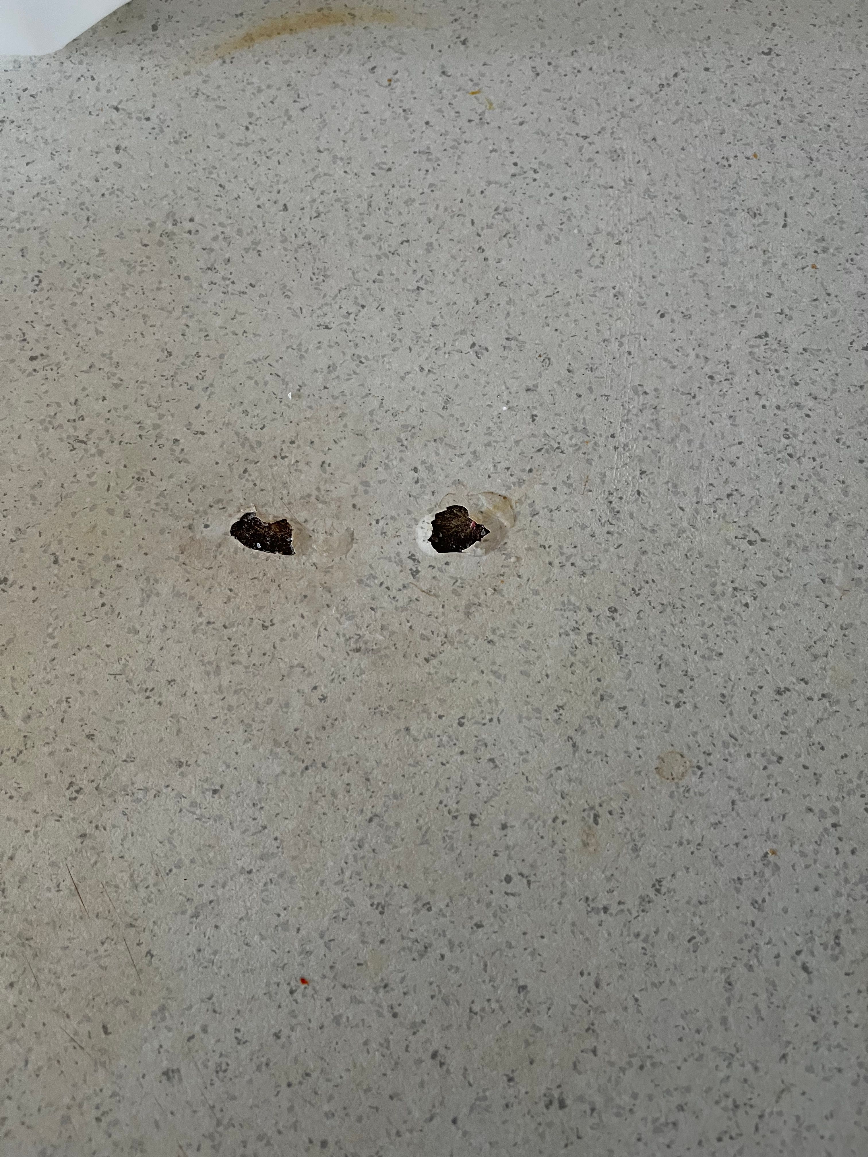 How to repair burnt kitchen benchtop? Bunnings community