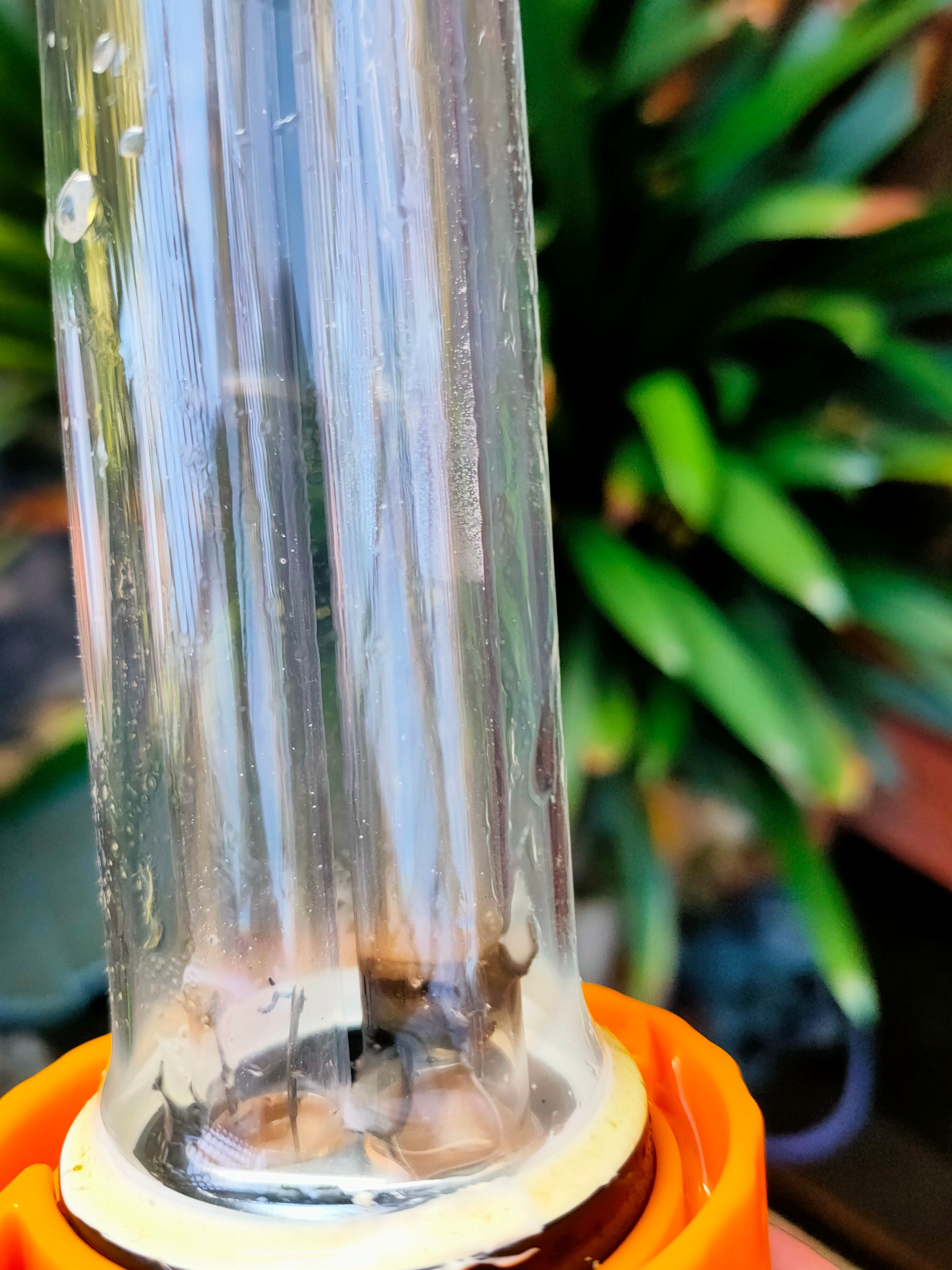 Solved How to refresh my fish pond? Bunnings community