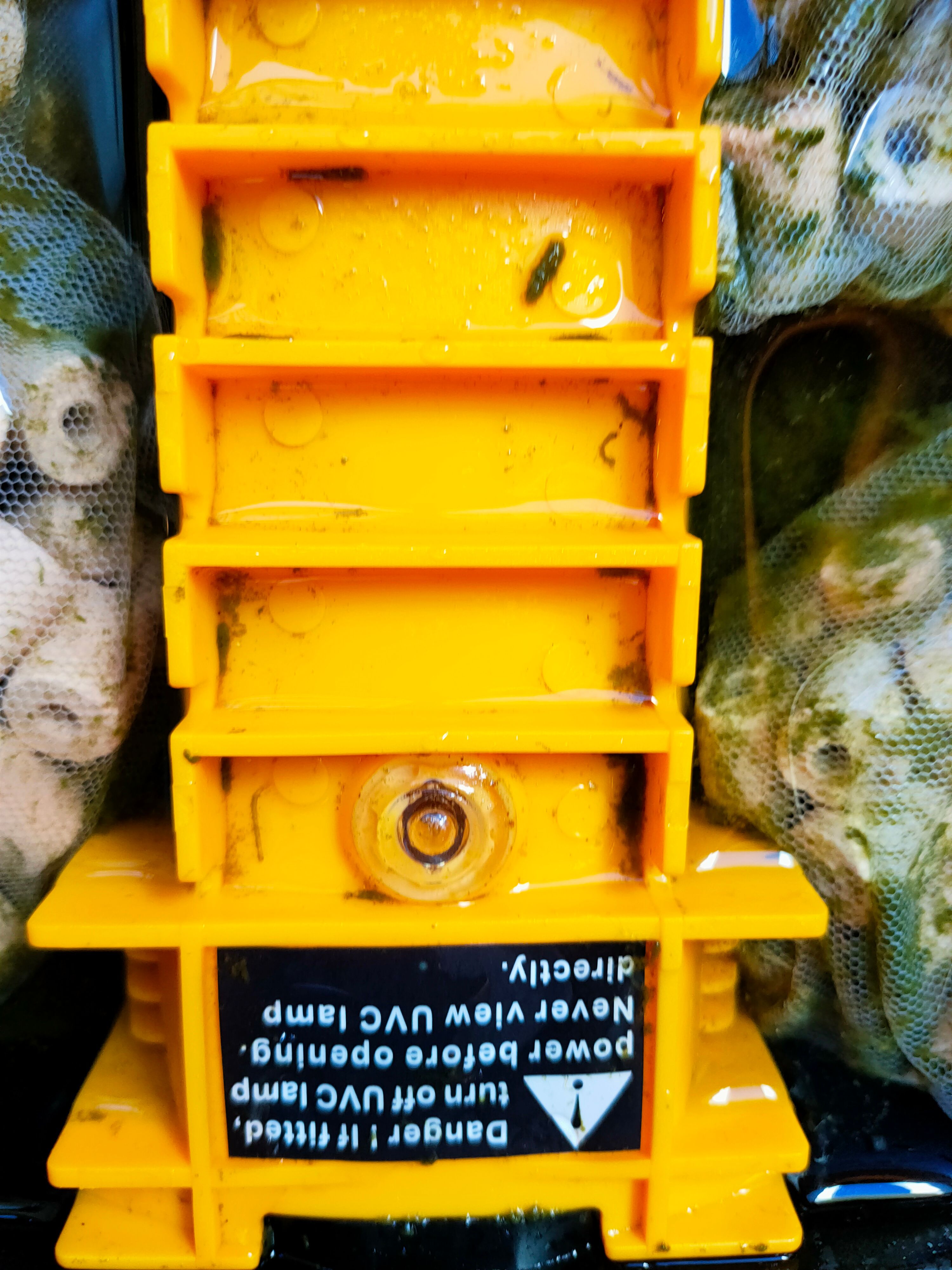 Solved How to refresh my fish pond? Bunnings community