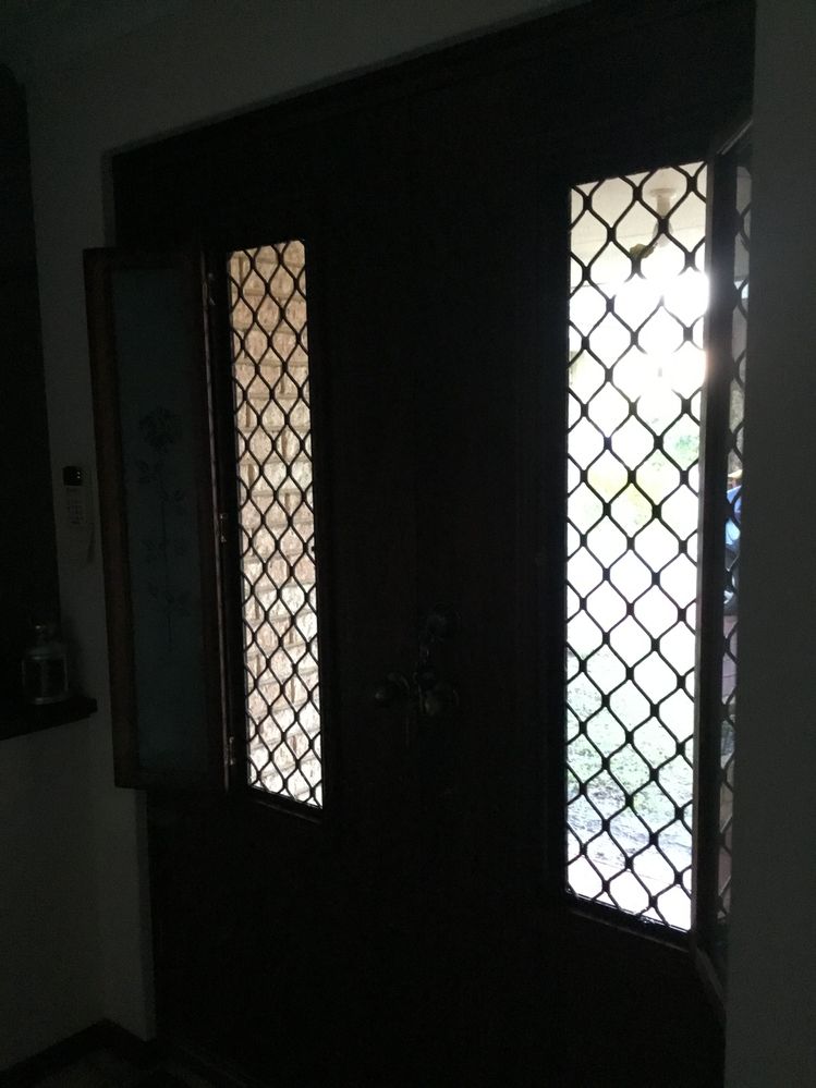 Before mesh replaced right hand side