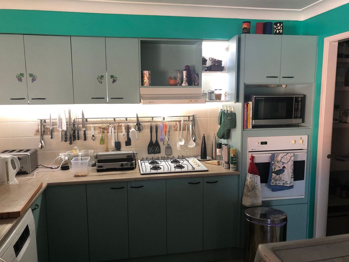 Kermit the  kitchen in green