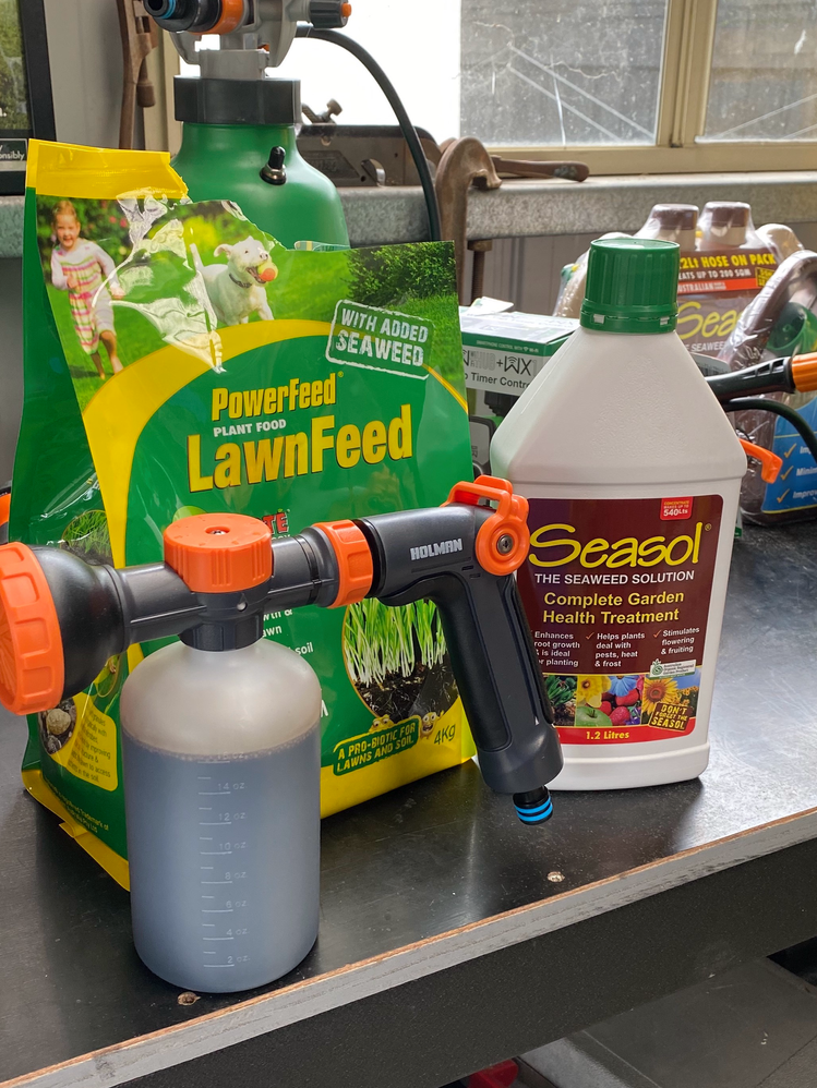 Products used to help recover after yellowing from clover weed killer spray