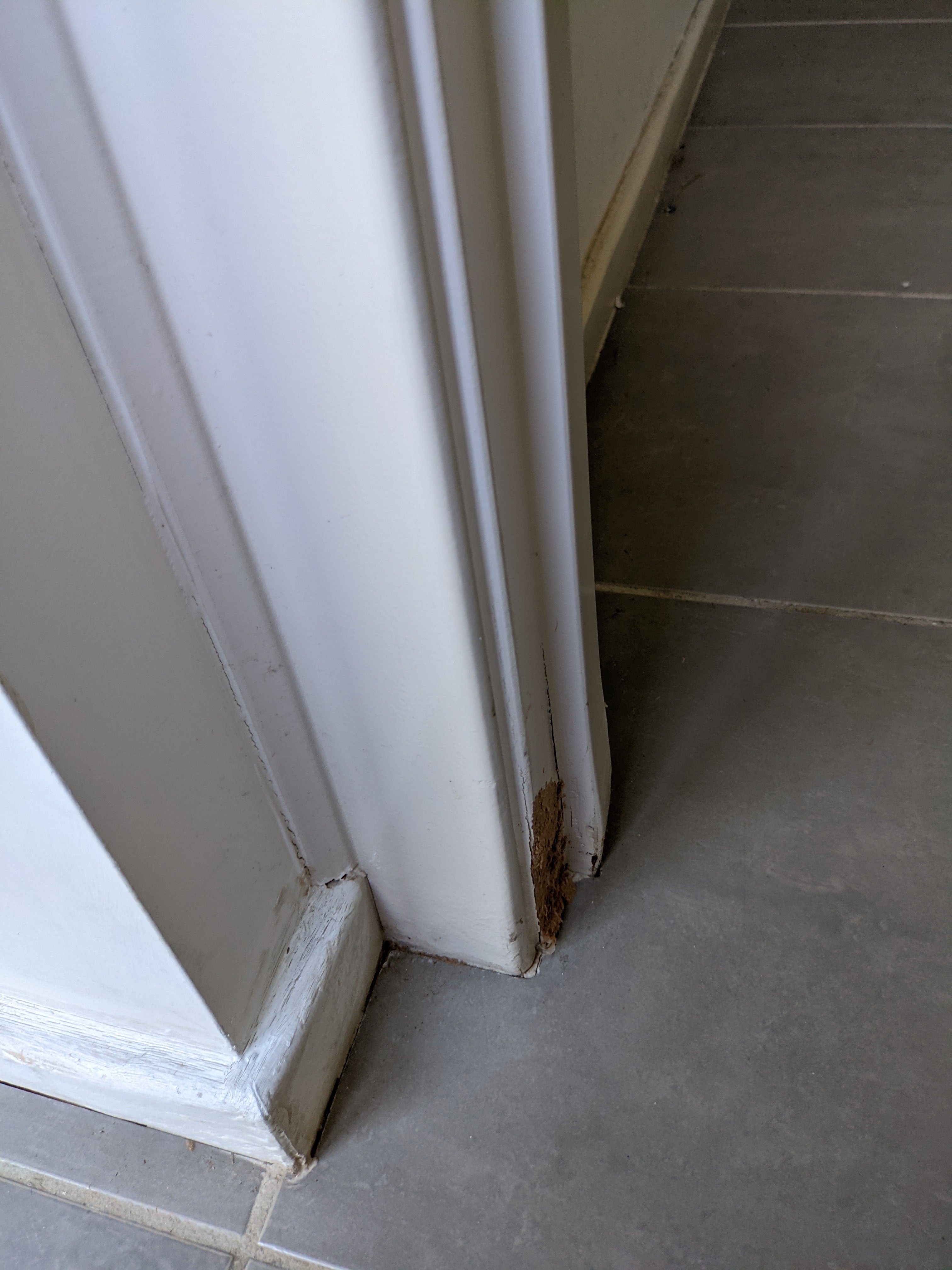 How to repair bottom of door trim and wa... Bunnings community