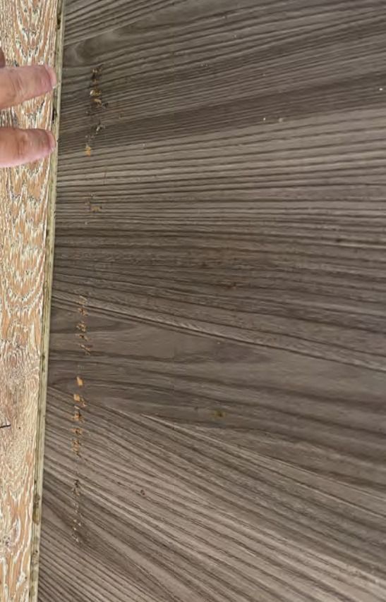 How to repair cupboard? Bunnings community