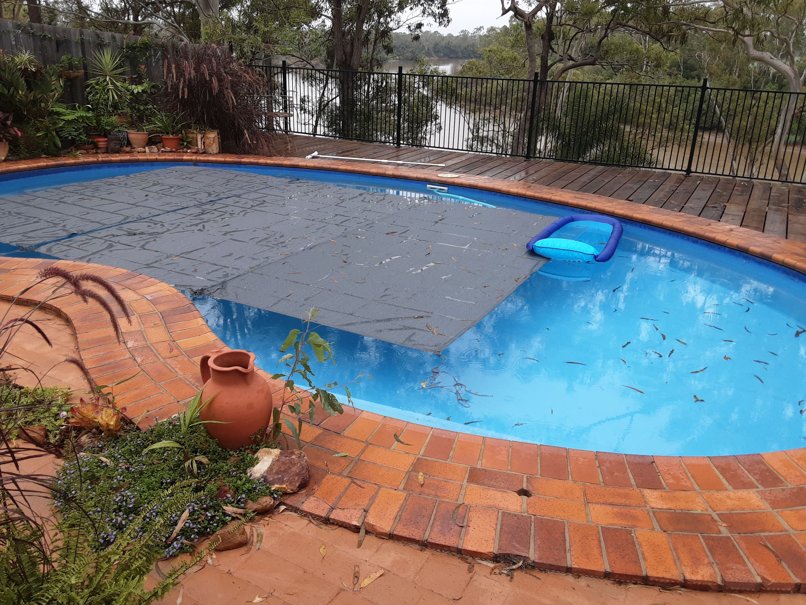 D.I.Y leaf cover for kidneyshaped pool Bunnings community