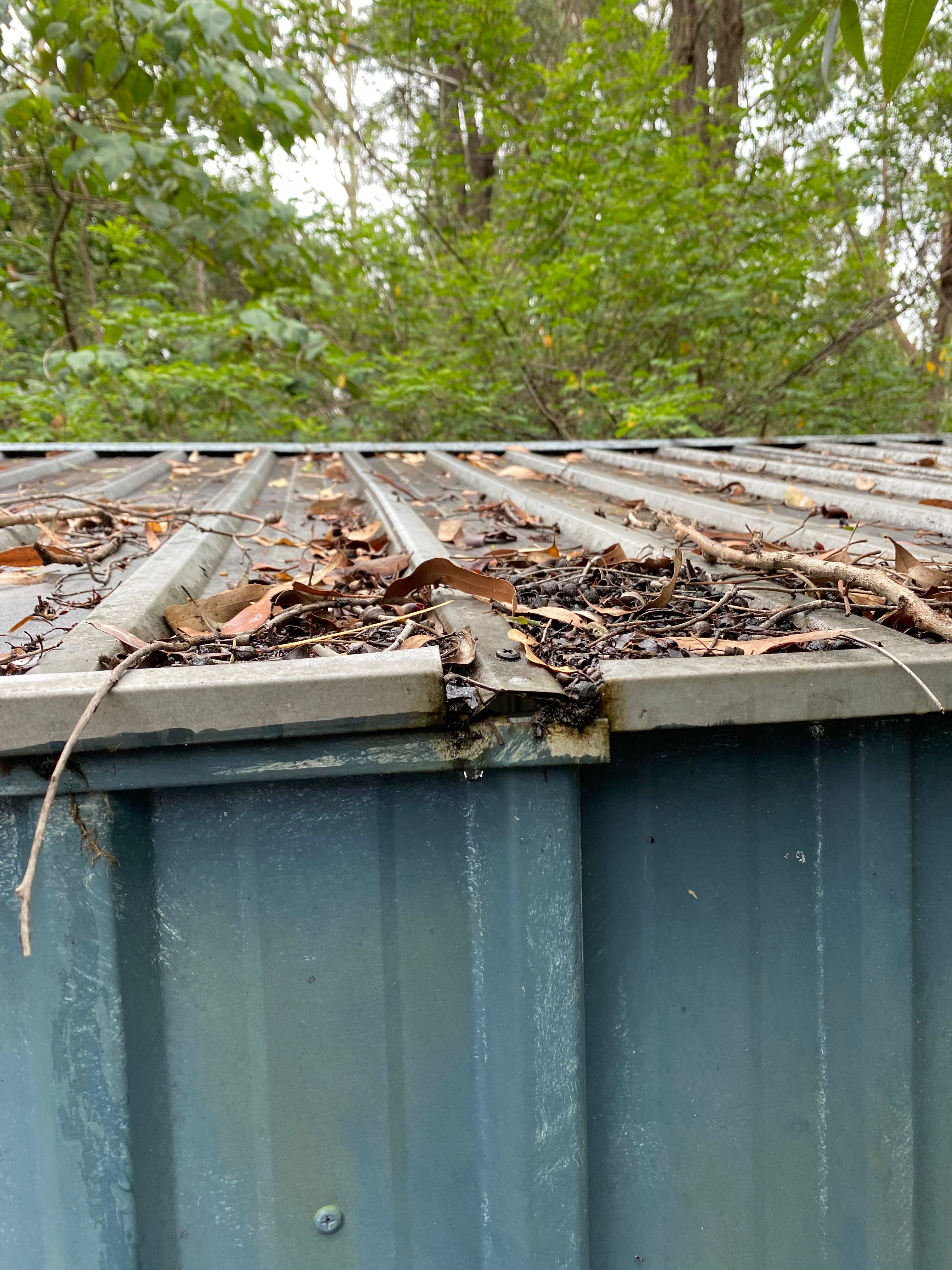 How to seal and renovate a shed? Bunnings community