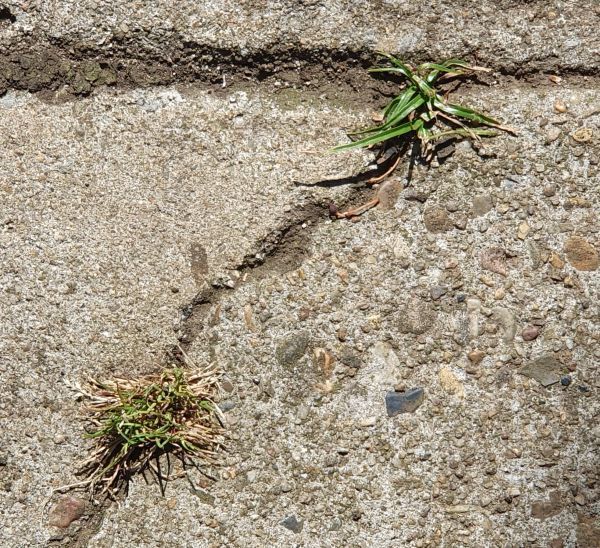 Thinking they're safe...