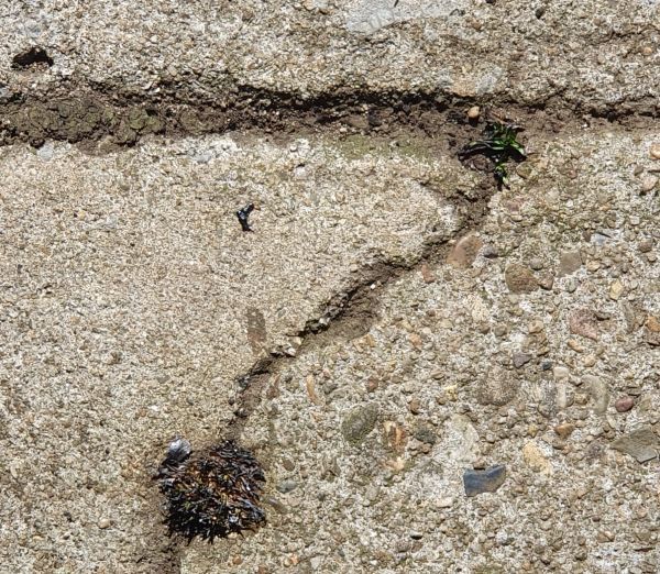 Death came quickly. Or are they?