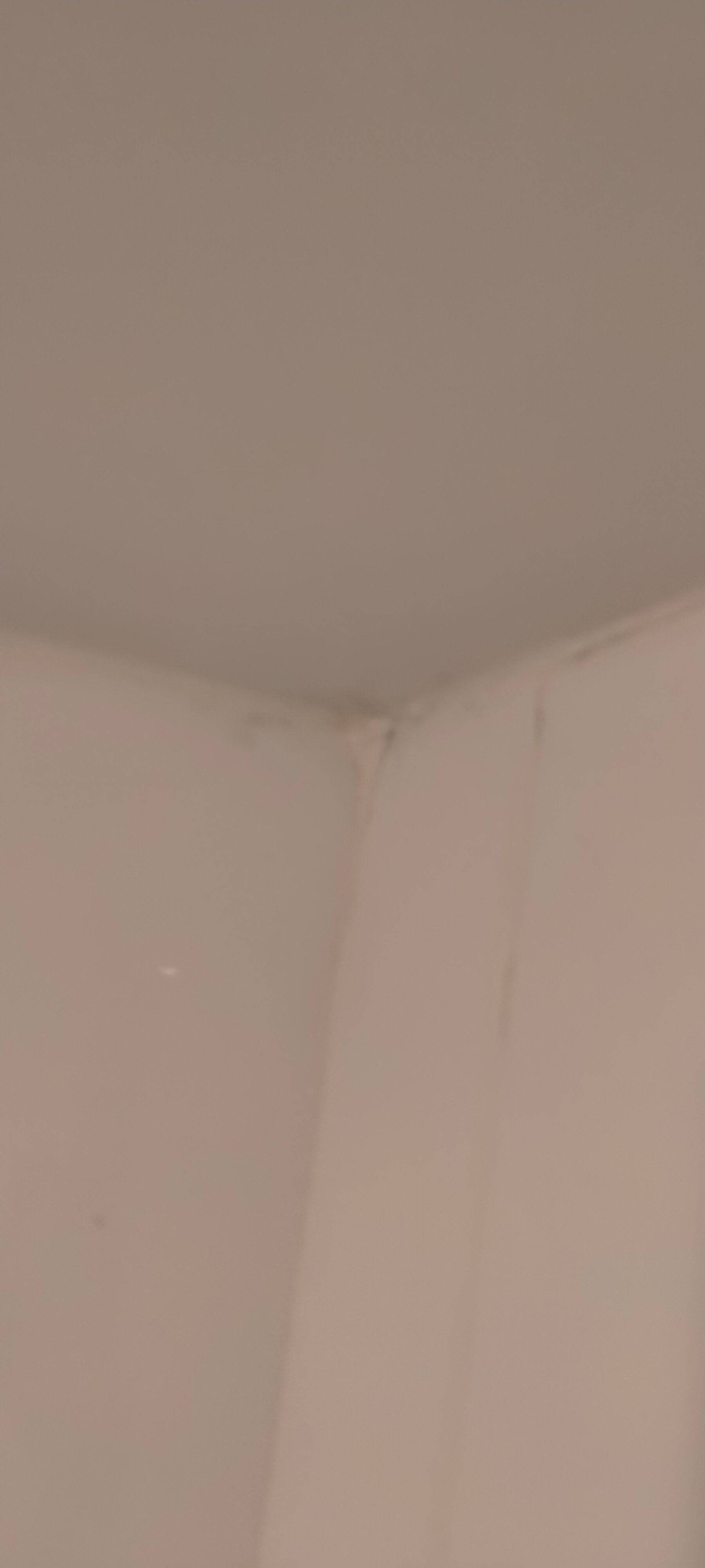 How to clean tiles for bathroom makeover... Bunnings community