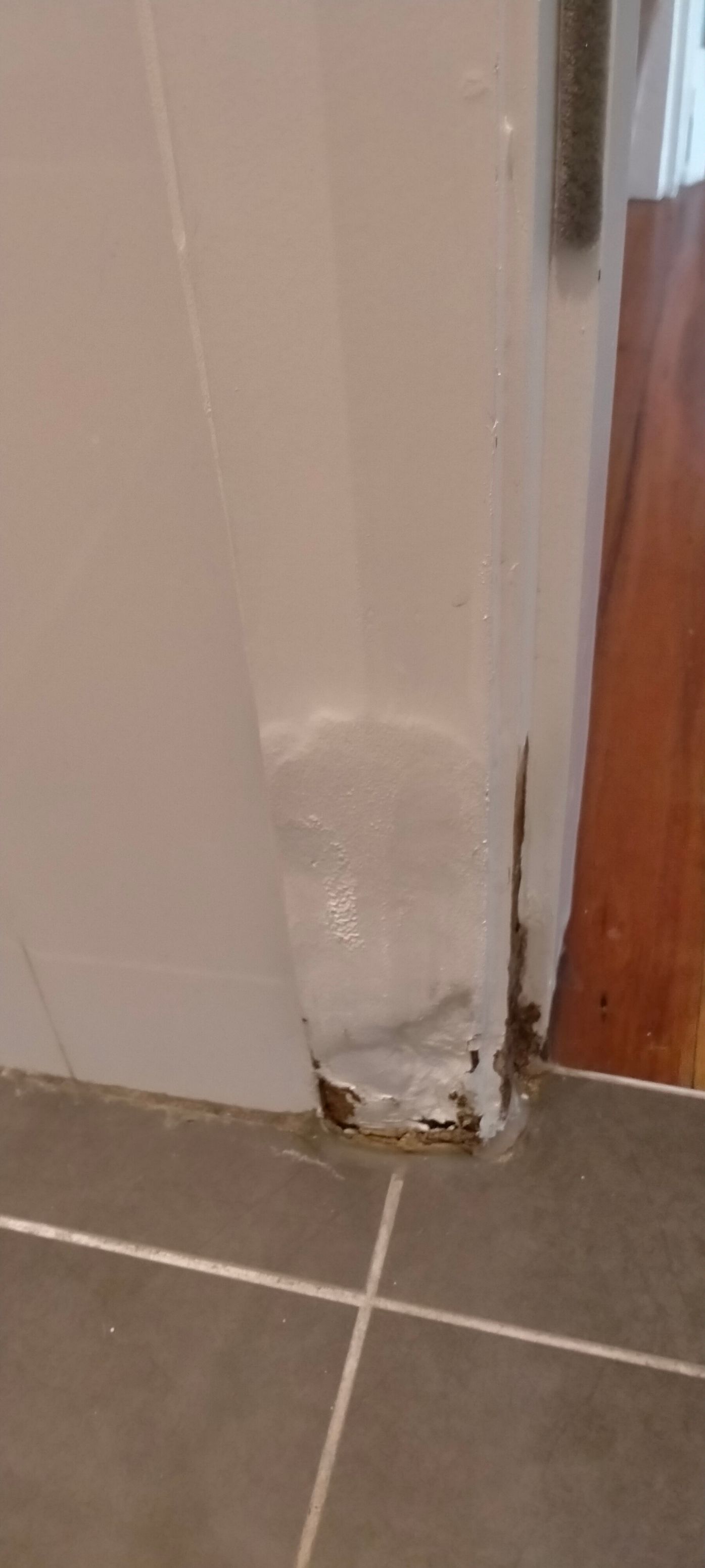 How to clean tiles for bathroom makeover... Bunnings community