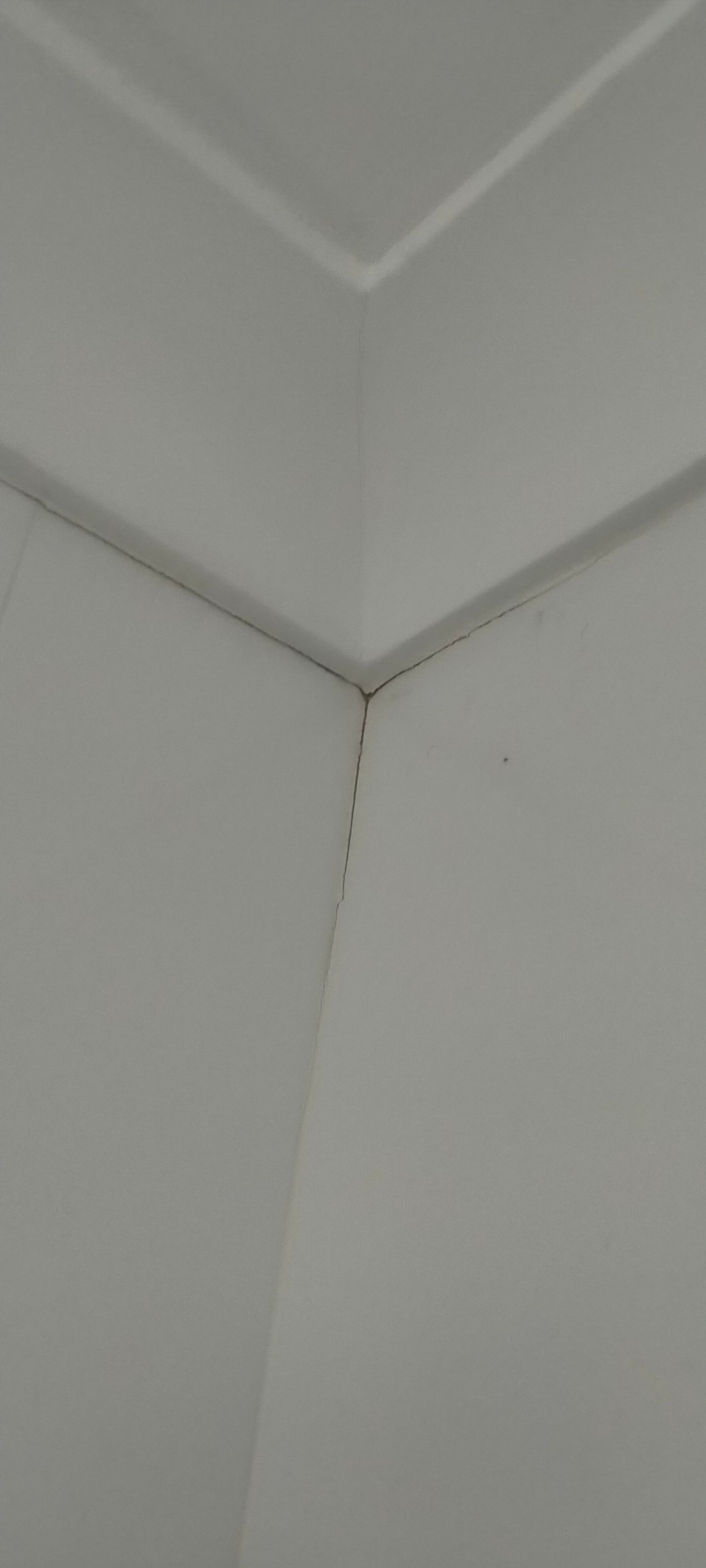 How to clean tiles for bathroom makeover... Bunnings community