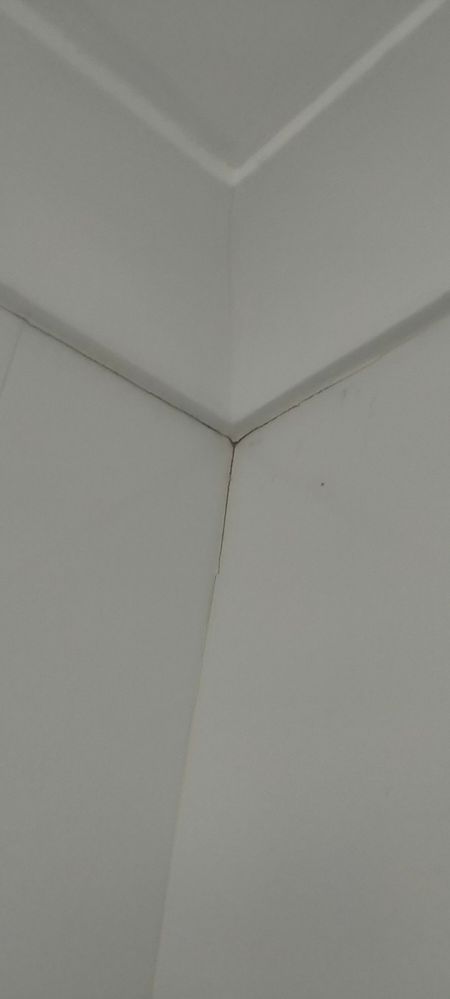 Bathroom wall separation