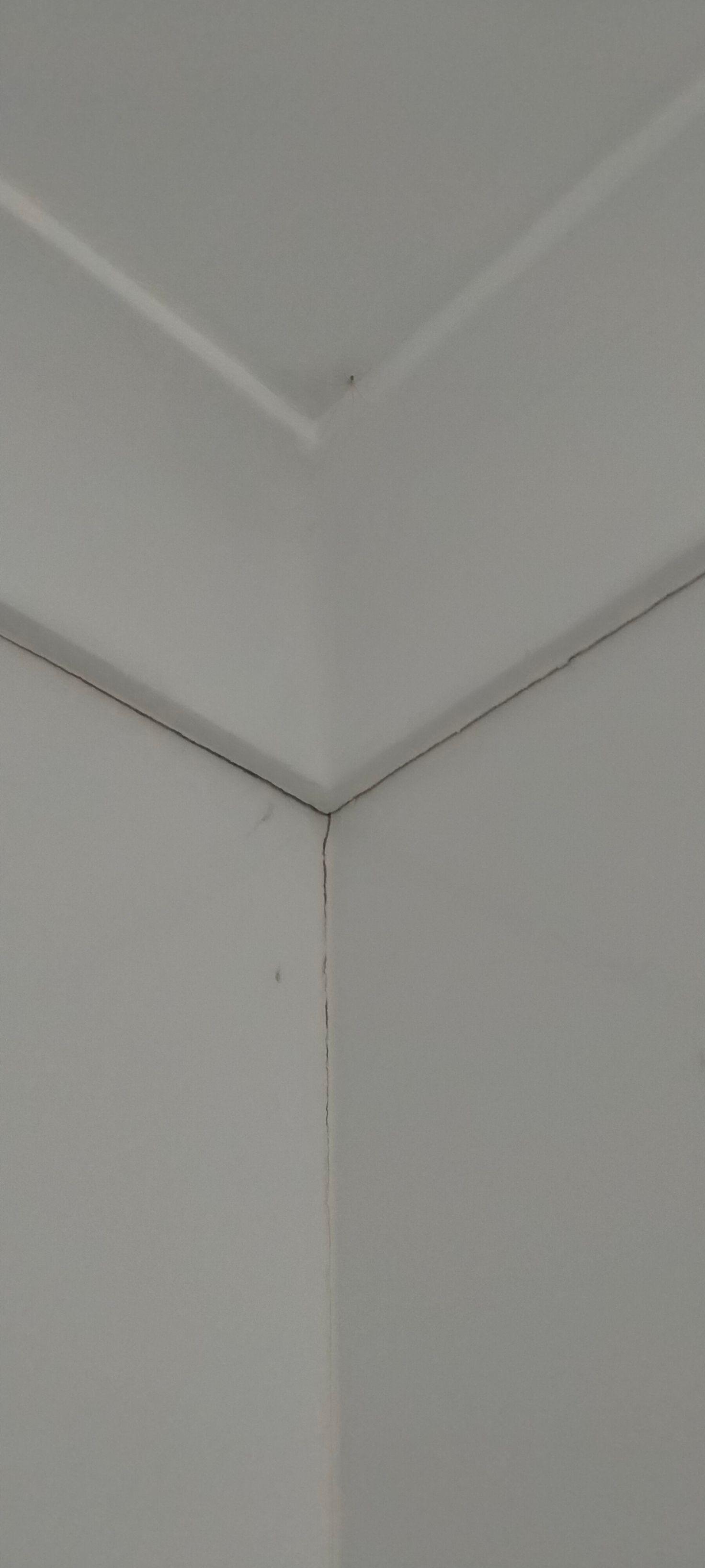 How to clean tiles for bathroom makeover... Bunnings community