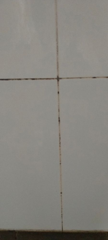 Grout condition