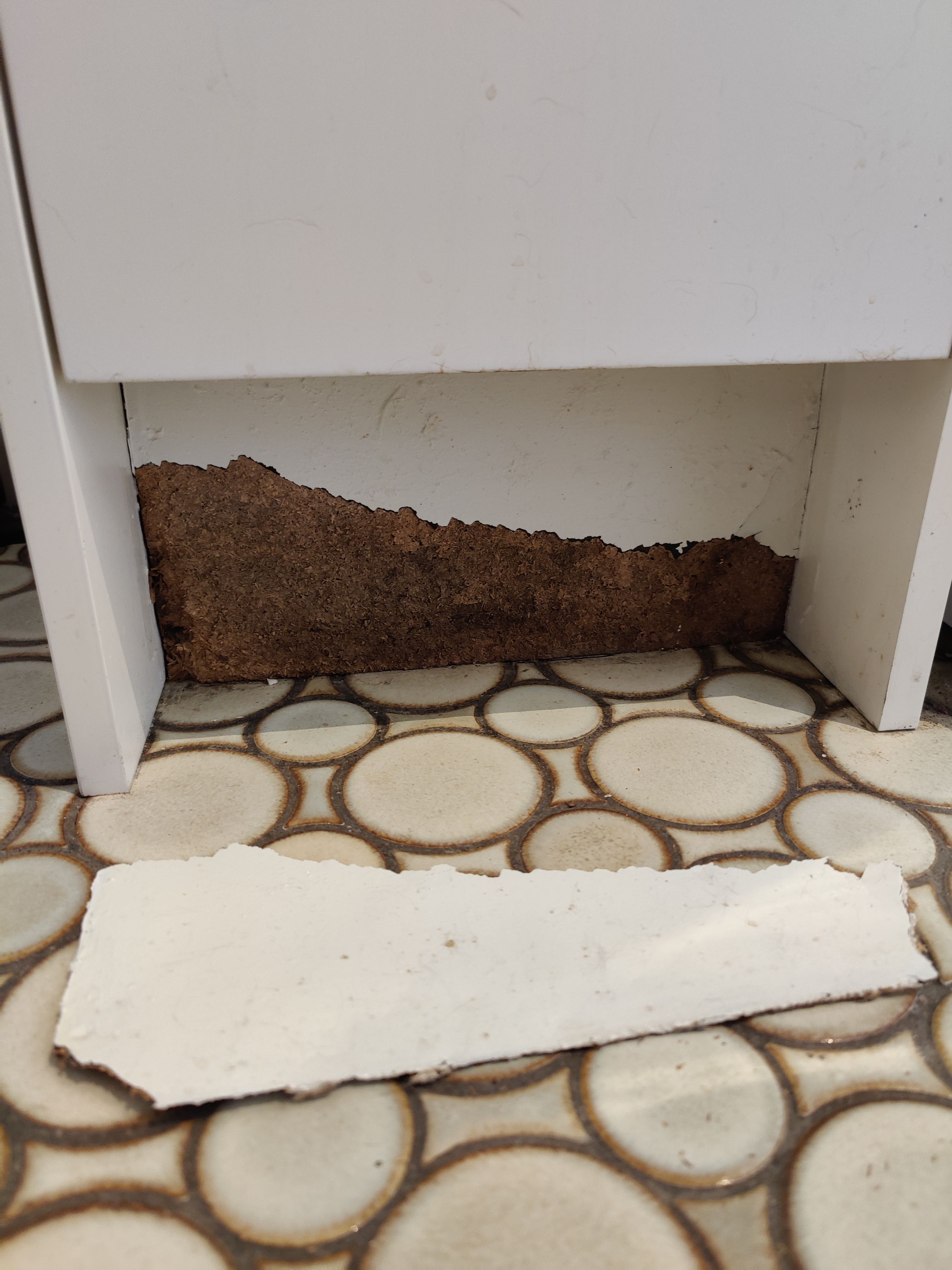 Solved How to replace kitchen kickboard... Bunnings community