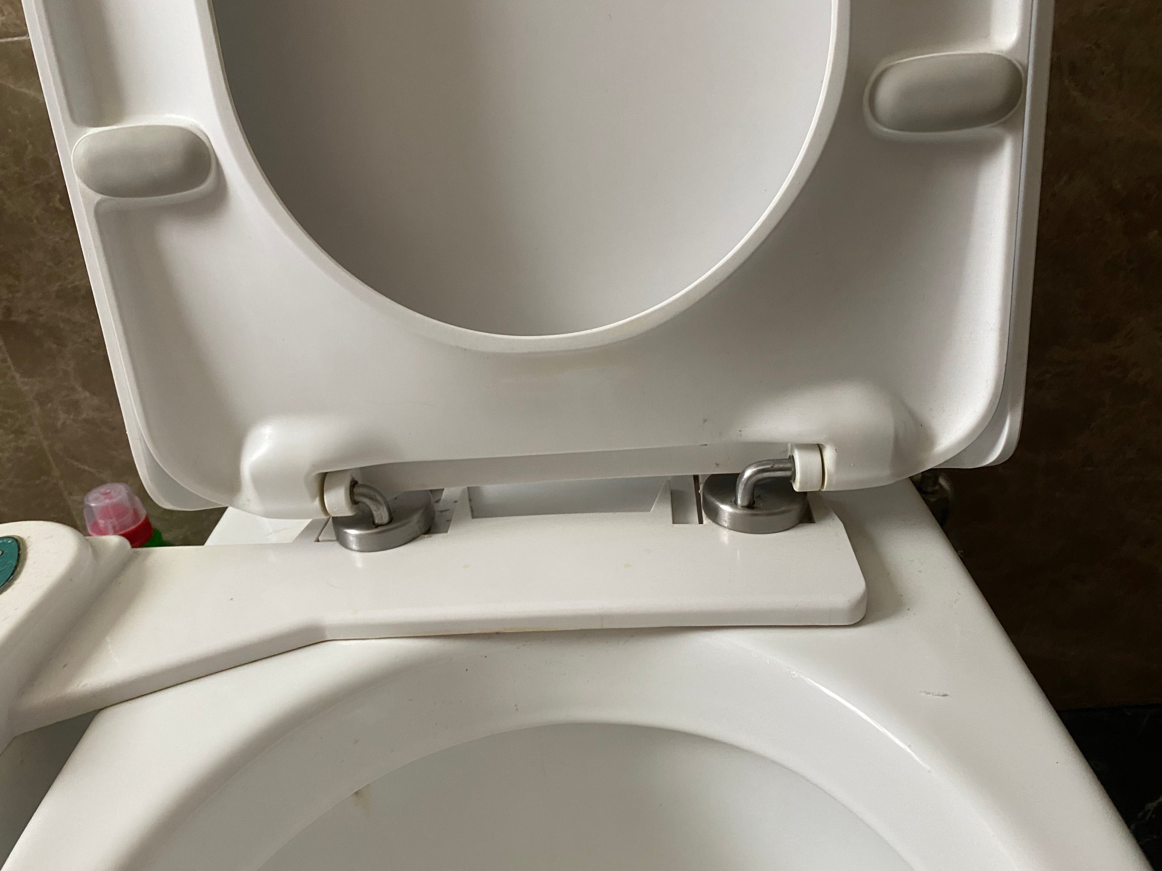 How can I remove this toilet seat? Bunnings community