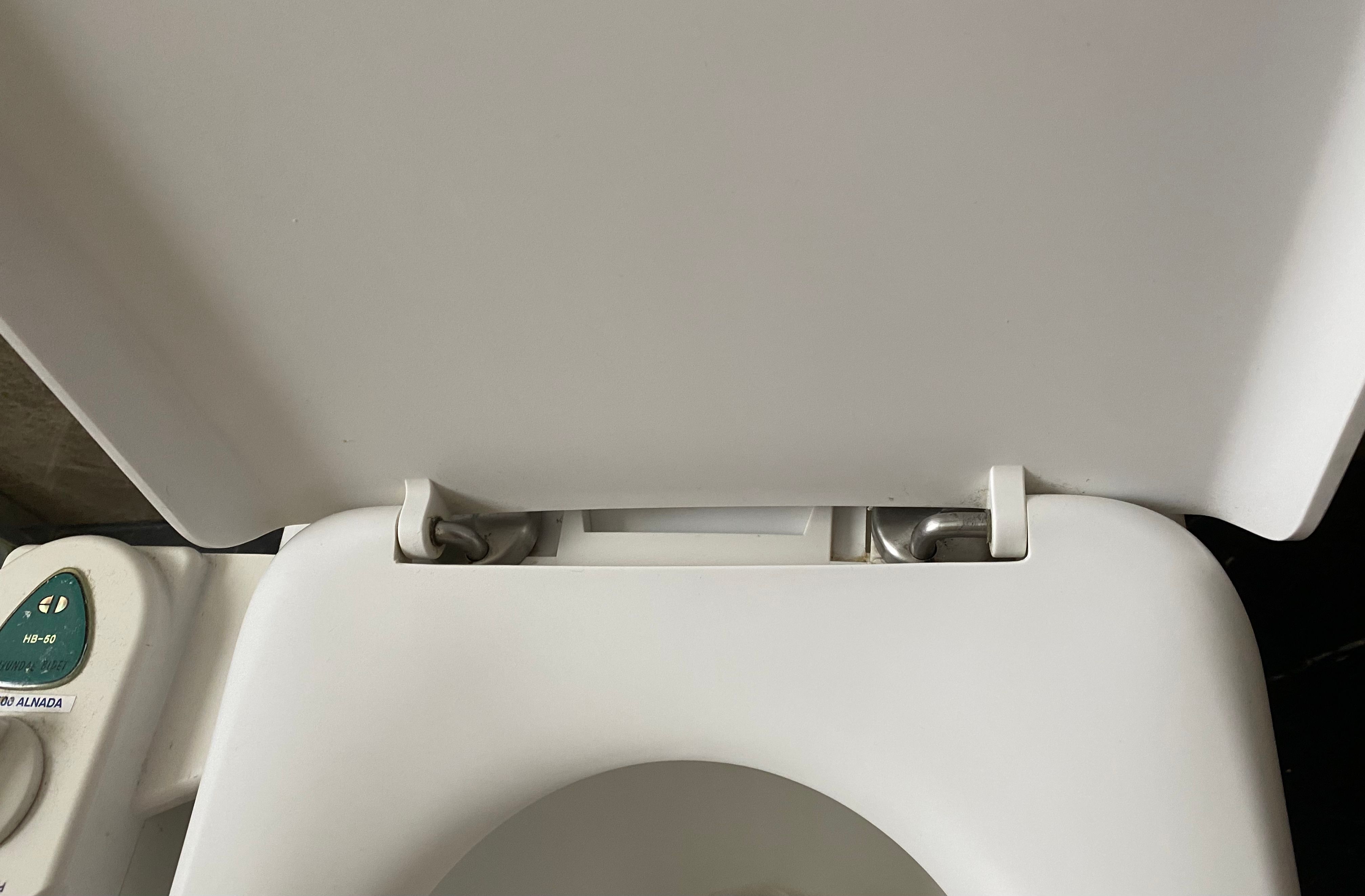 How can I remove this toilet seat? Bunnings community