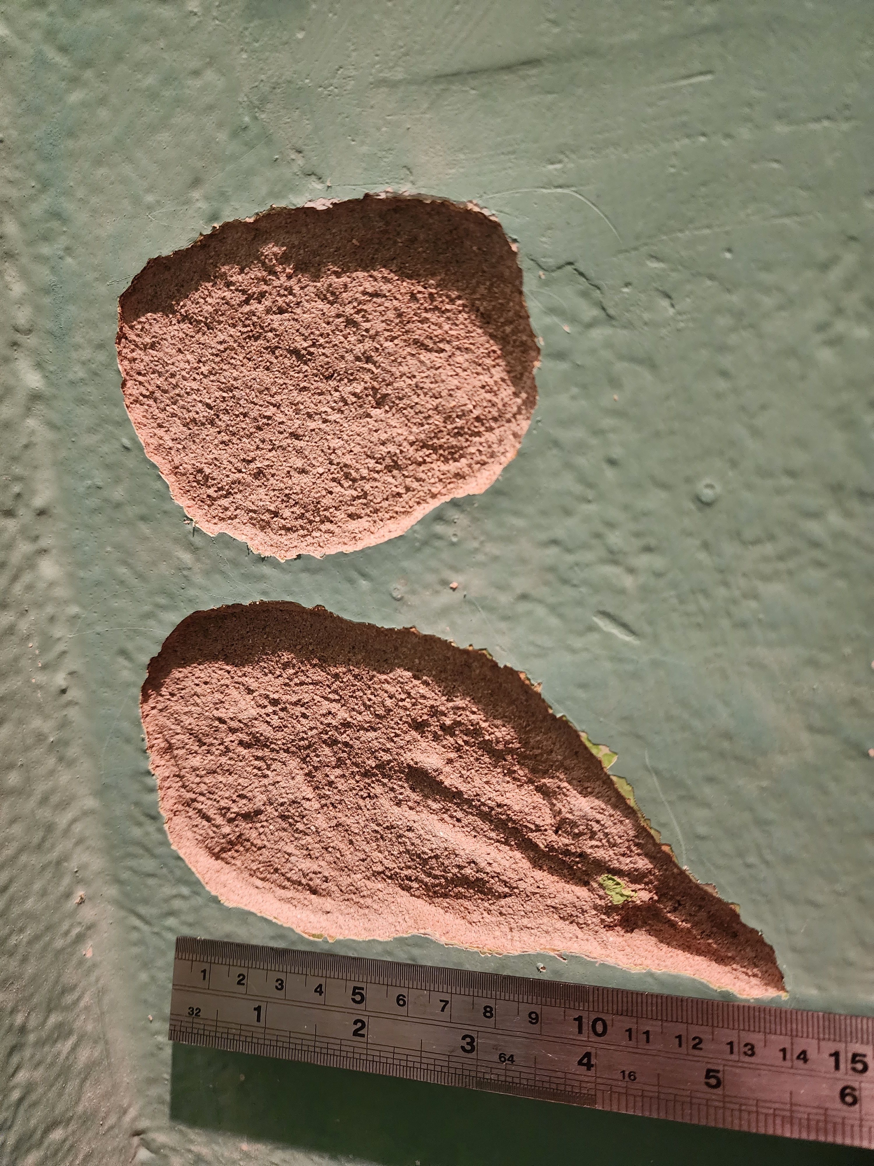 How do I patch rendered interior walls i... Bunnings community