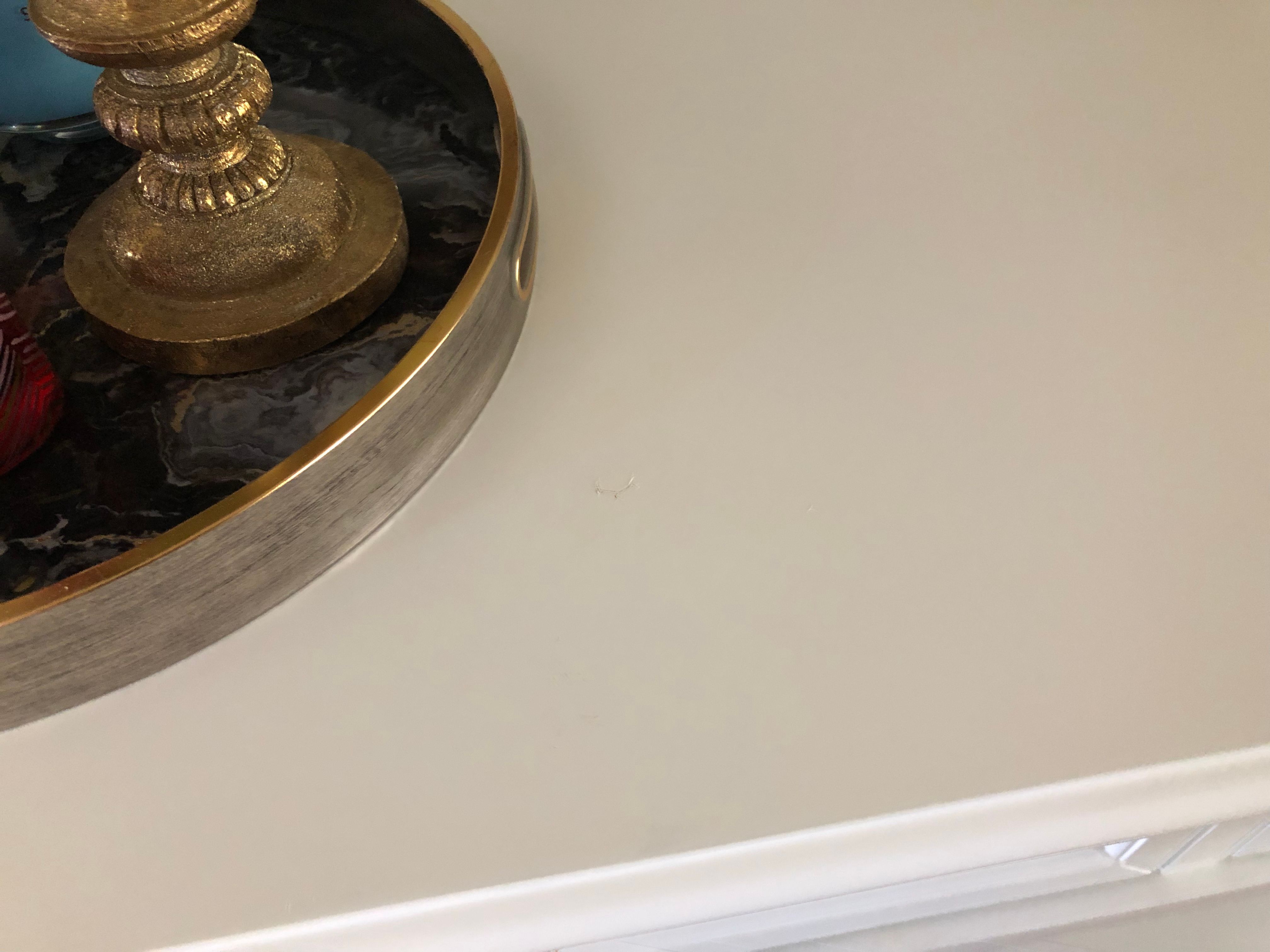 How to repair the painted table? Bunnings community