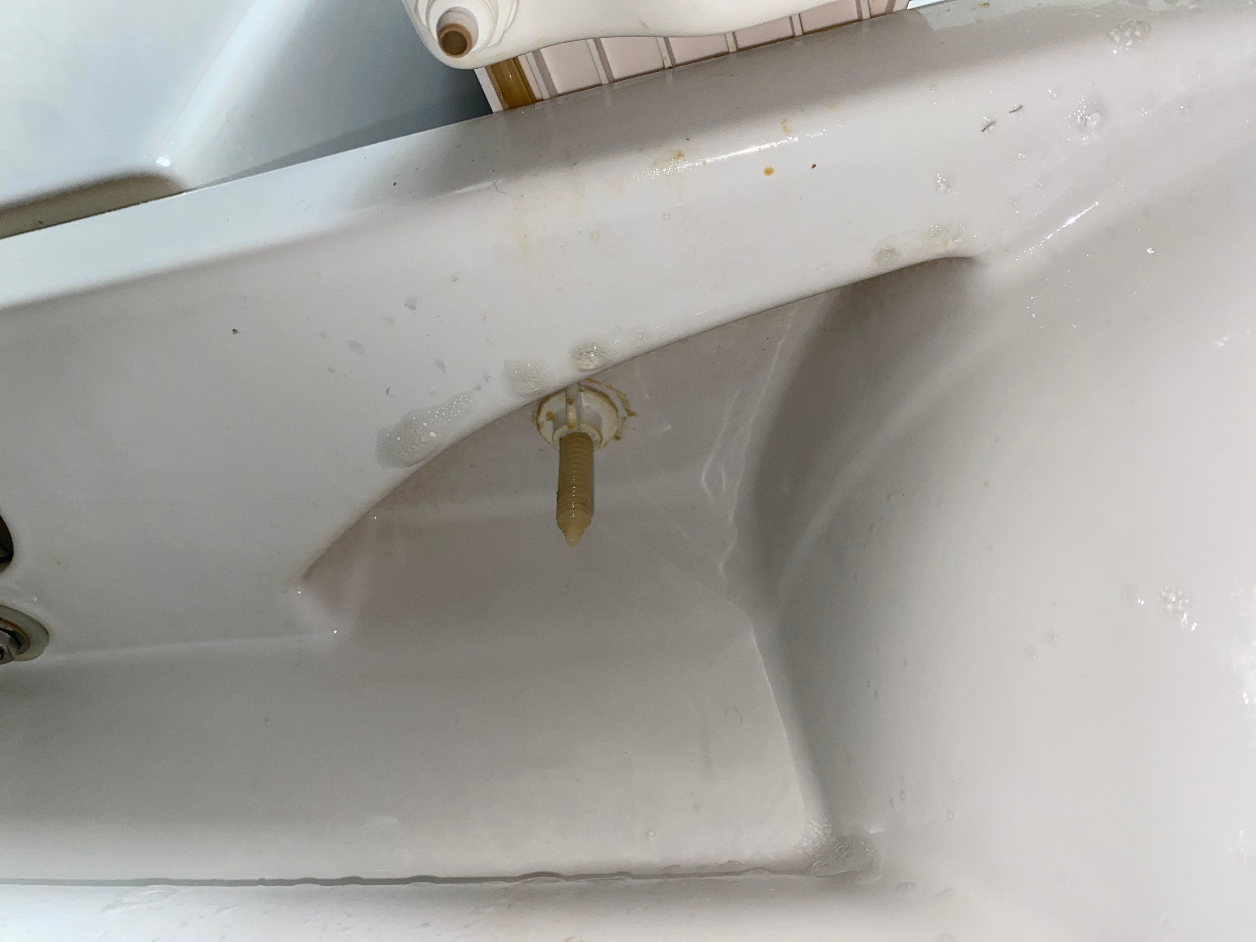 How can I remove this toilet seat? Bunnings community