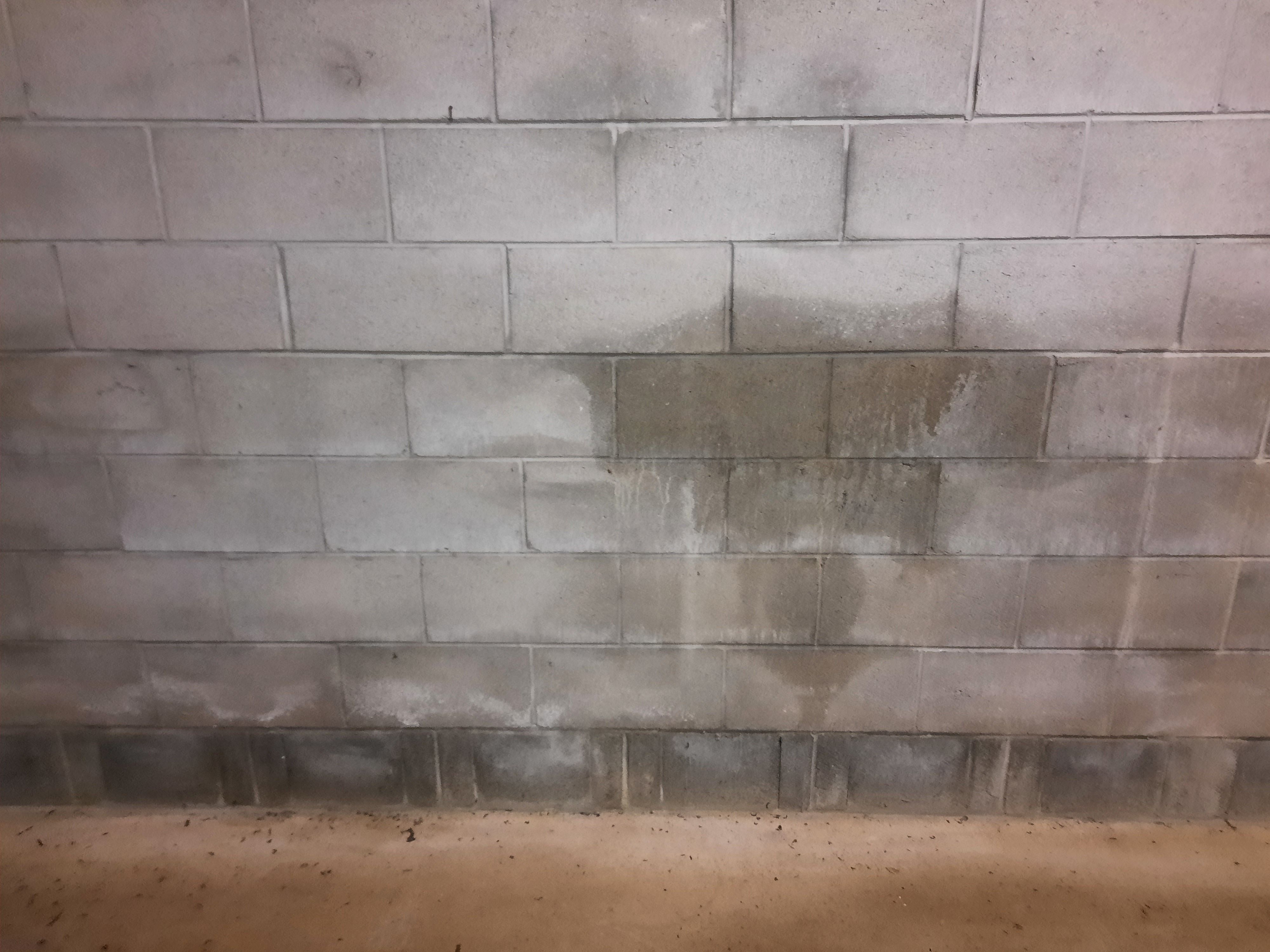 Watermarks on internal brickwall Bunnings community