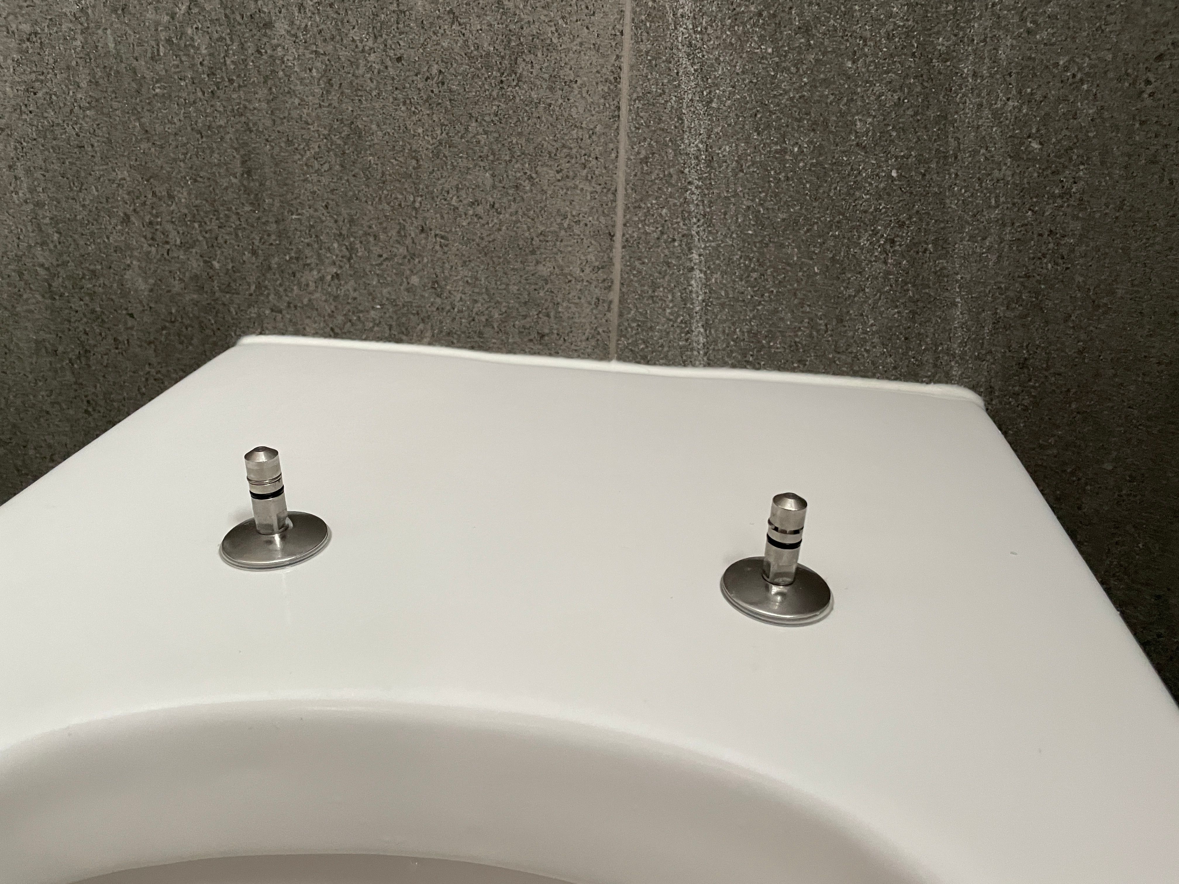 How to detach the old toilet seat to rep... Bunnings community