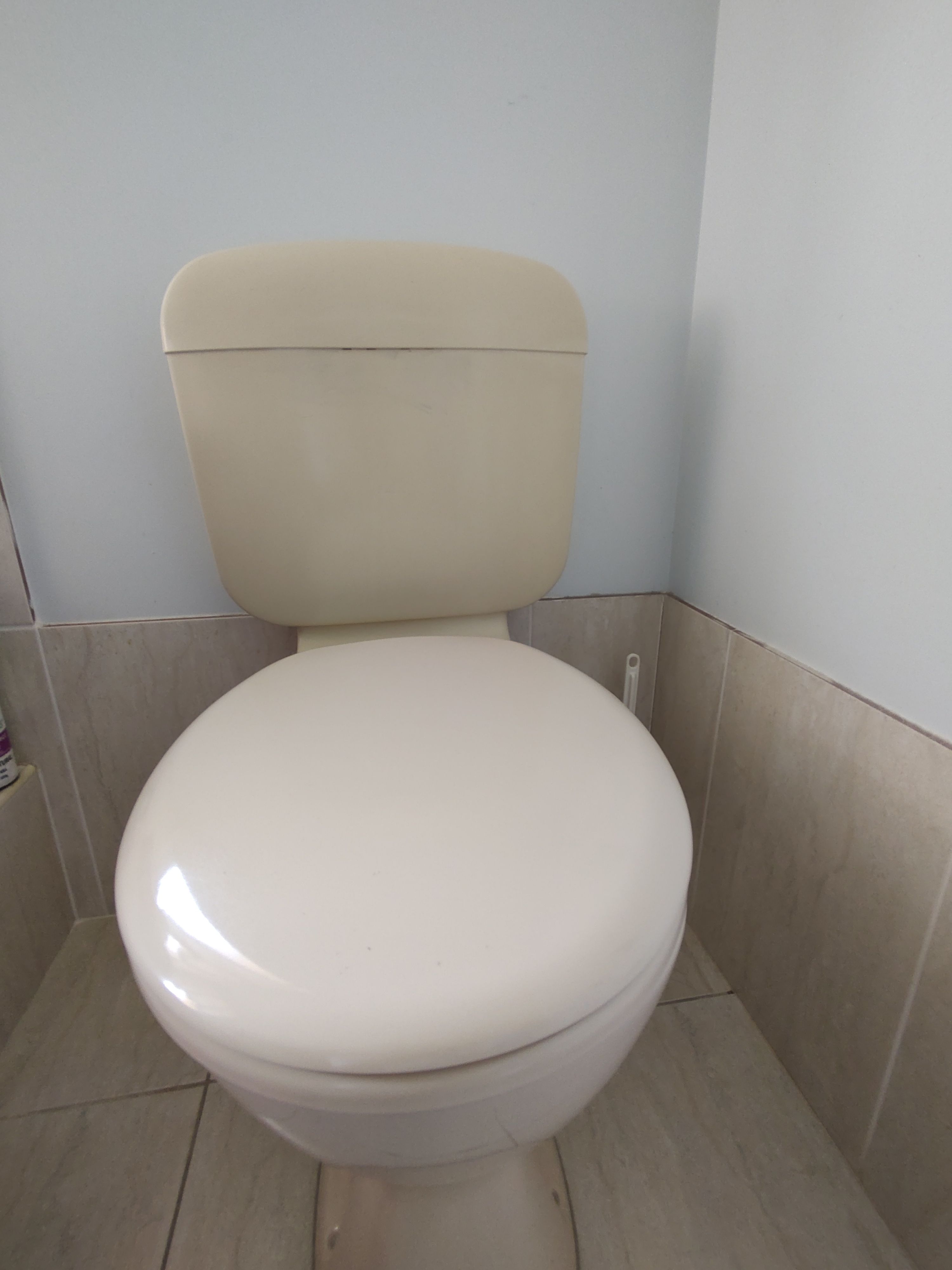 How to fix leaking toilet cistern? Bunnings community