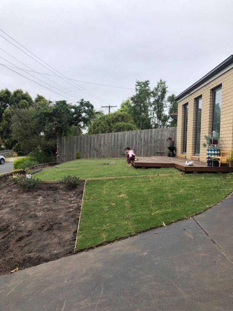 IMG_2735 Large 2.jpeg