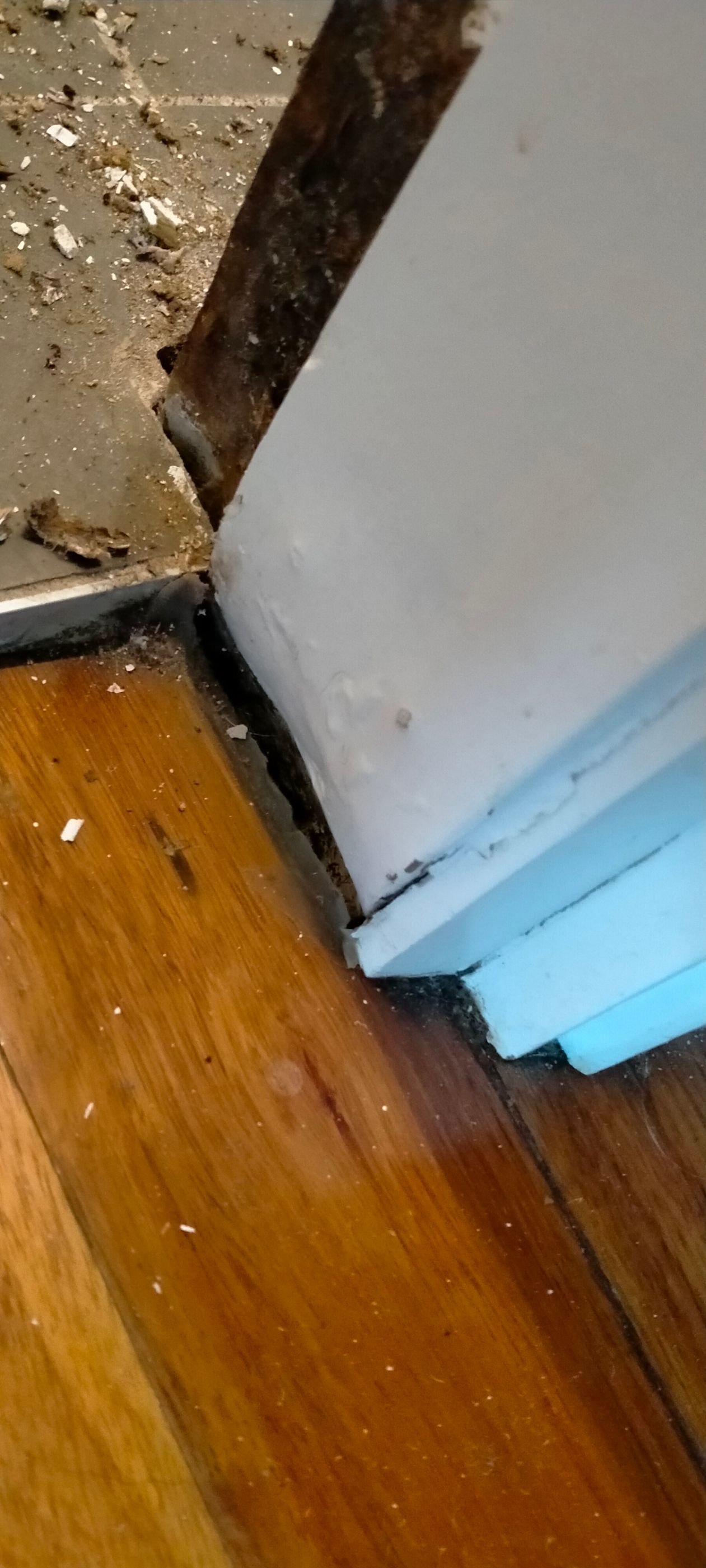 How to clean tiles for bathroom makeover... Bunnings community