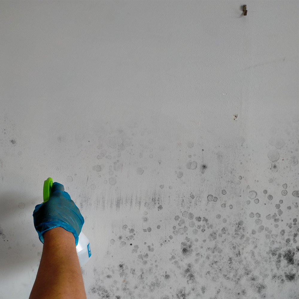 2.4 Use a generous amount of vinegar solution.png