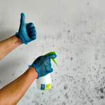 2.5 Make sure to cover the entire infested area.png