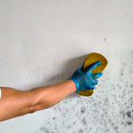 3.1. Wipe the wall with dishwashing liquid.png