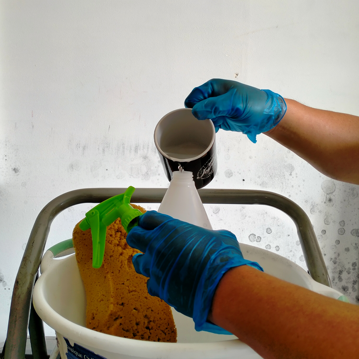 How to remove mould stains from walls Bunnings community