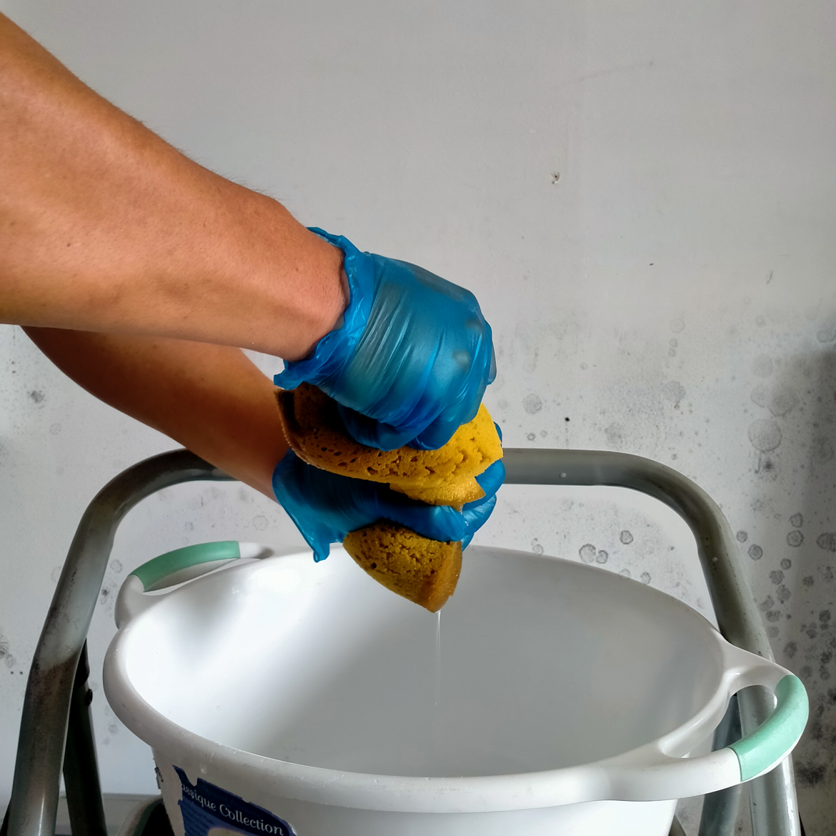 How to remove mould stains from walls Bunnings community