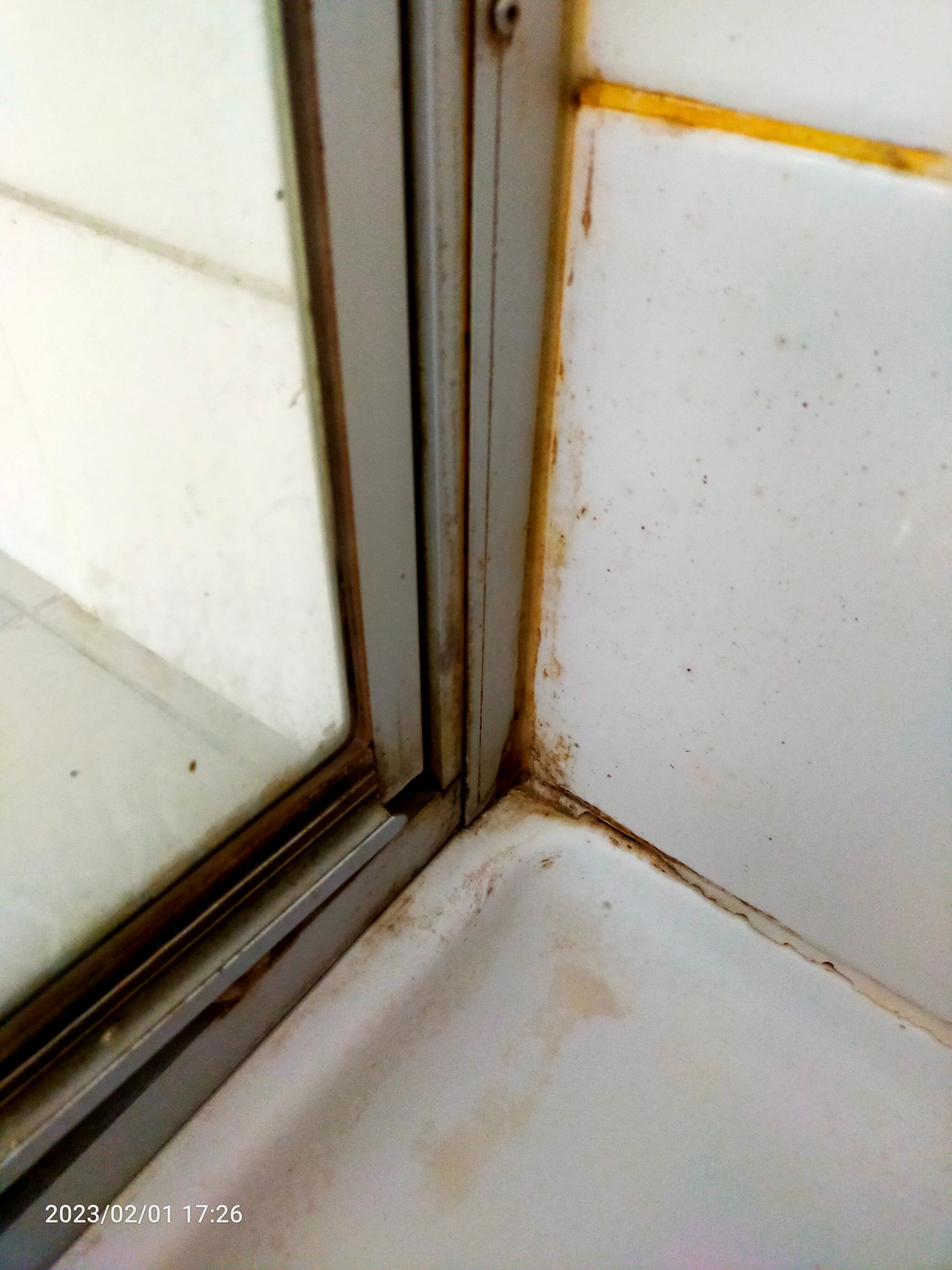 How to clean edge of shower screen? Bunnings community