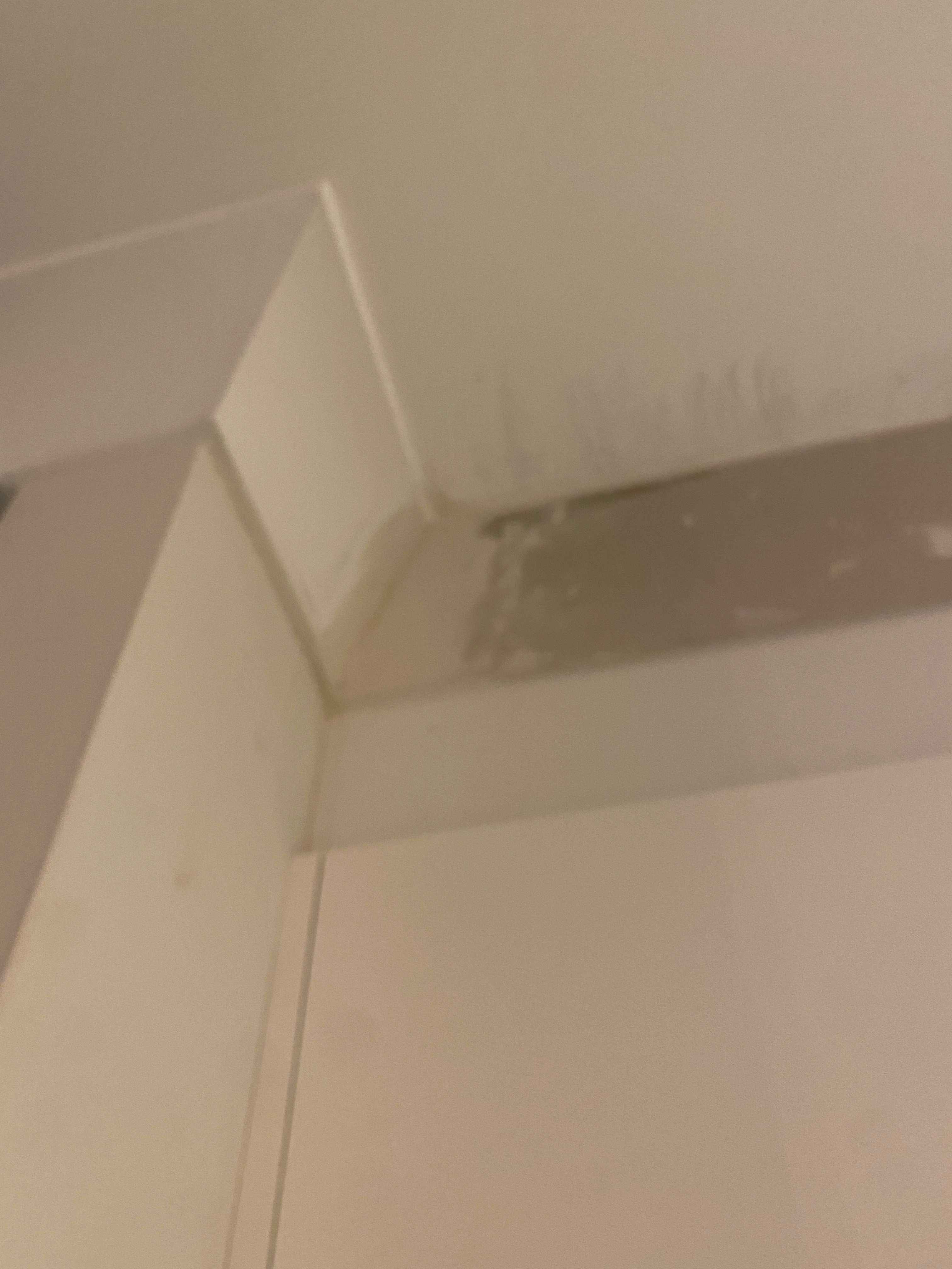 How to paint cornice and patch ceiling? Bunnings community