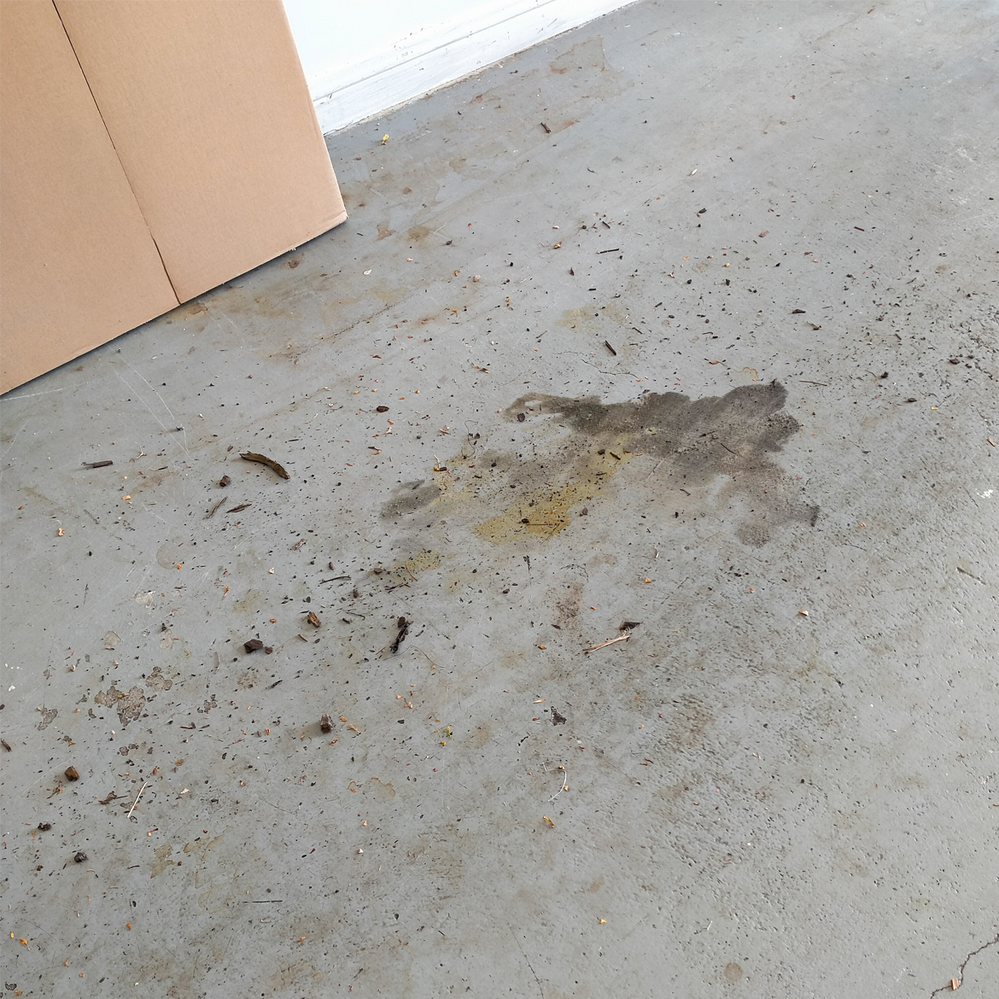 1 Determine the type of stain on floor.png