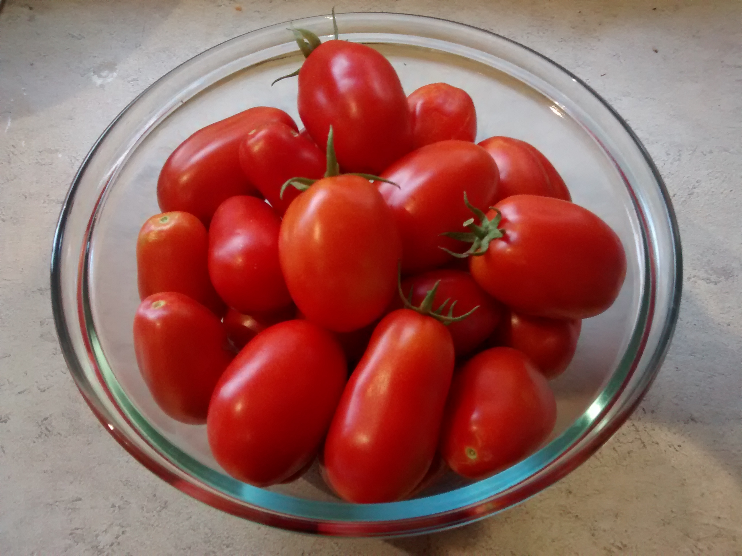home-grown tomatoes