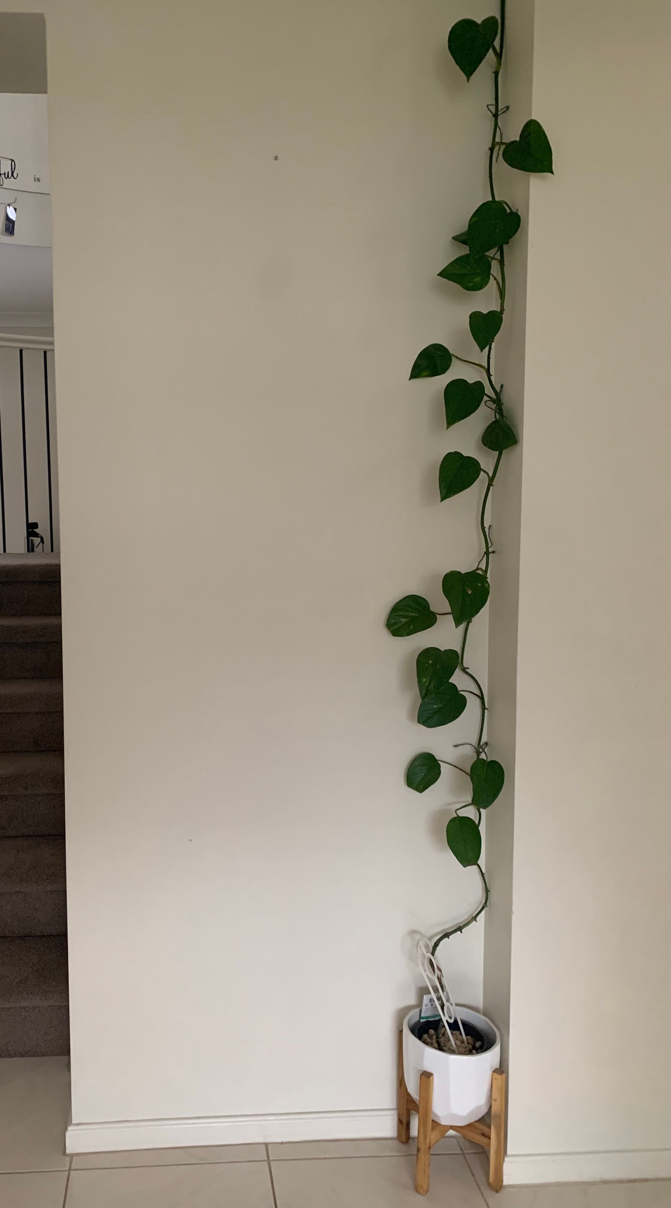 Tips for under stairs storage creation? Bunnings community